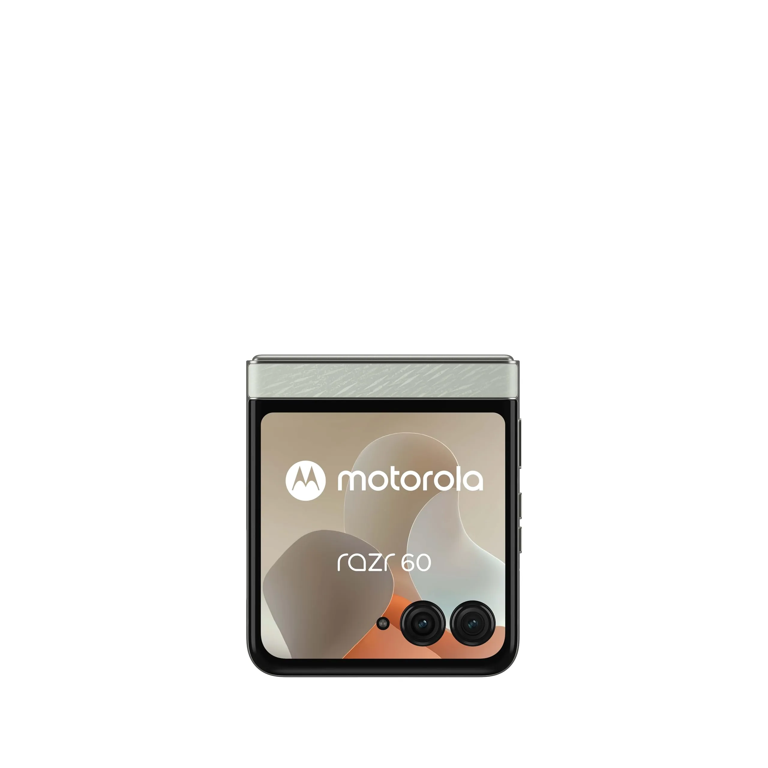 Miniatura 20
