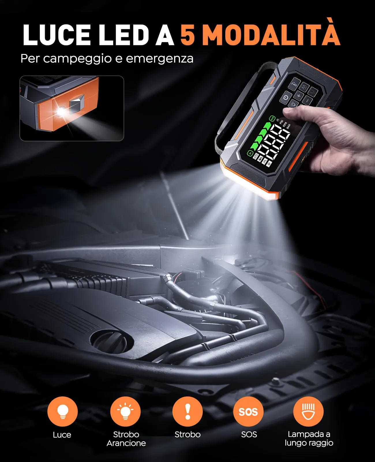 Miniatura 6