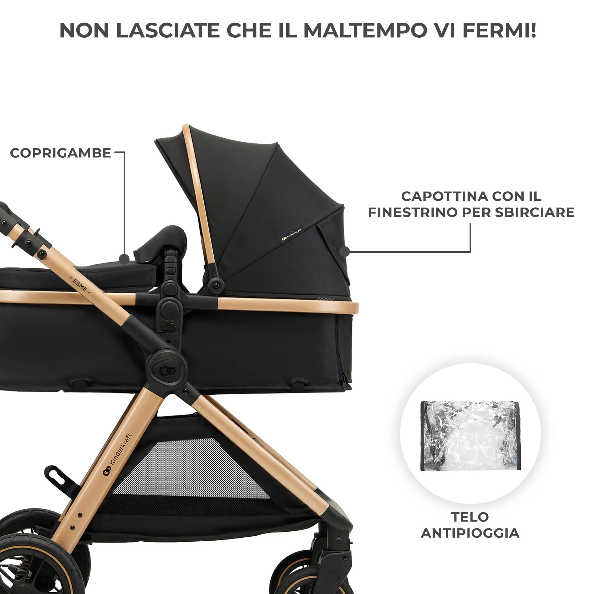 Miniatura 11