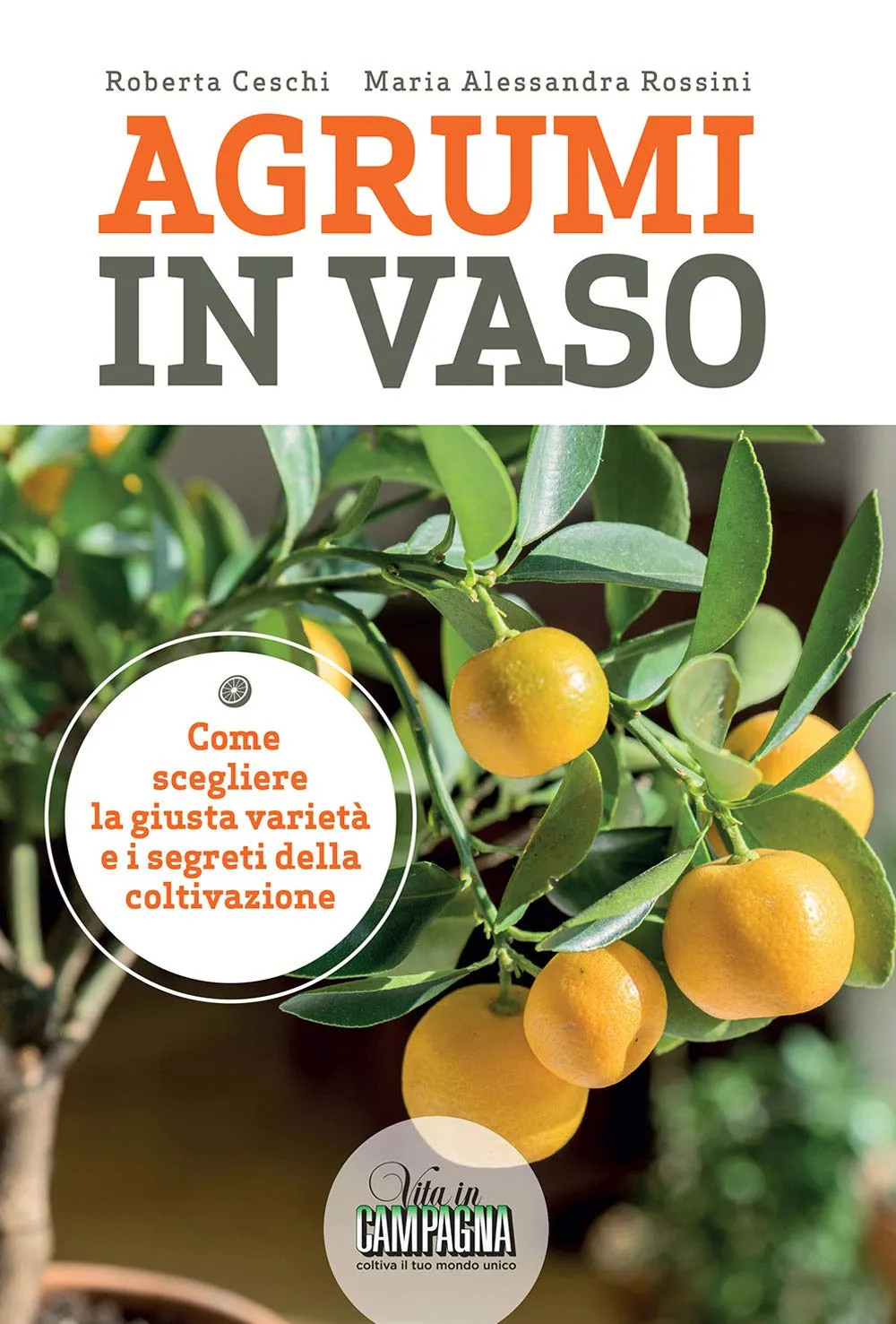 Agrumi in Vaso: Guida Completa alla Coltivazione e Utilizzo