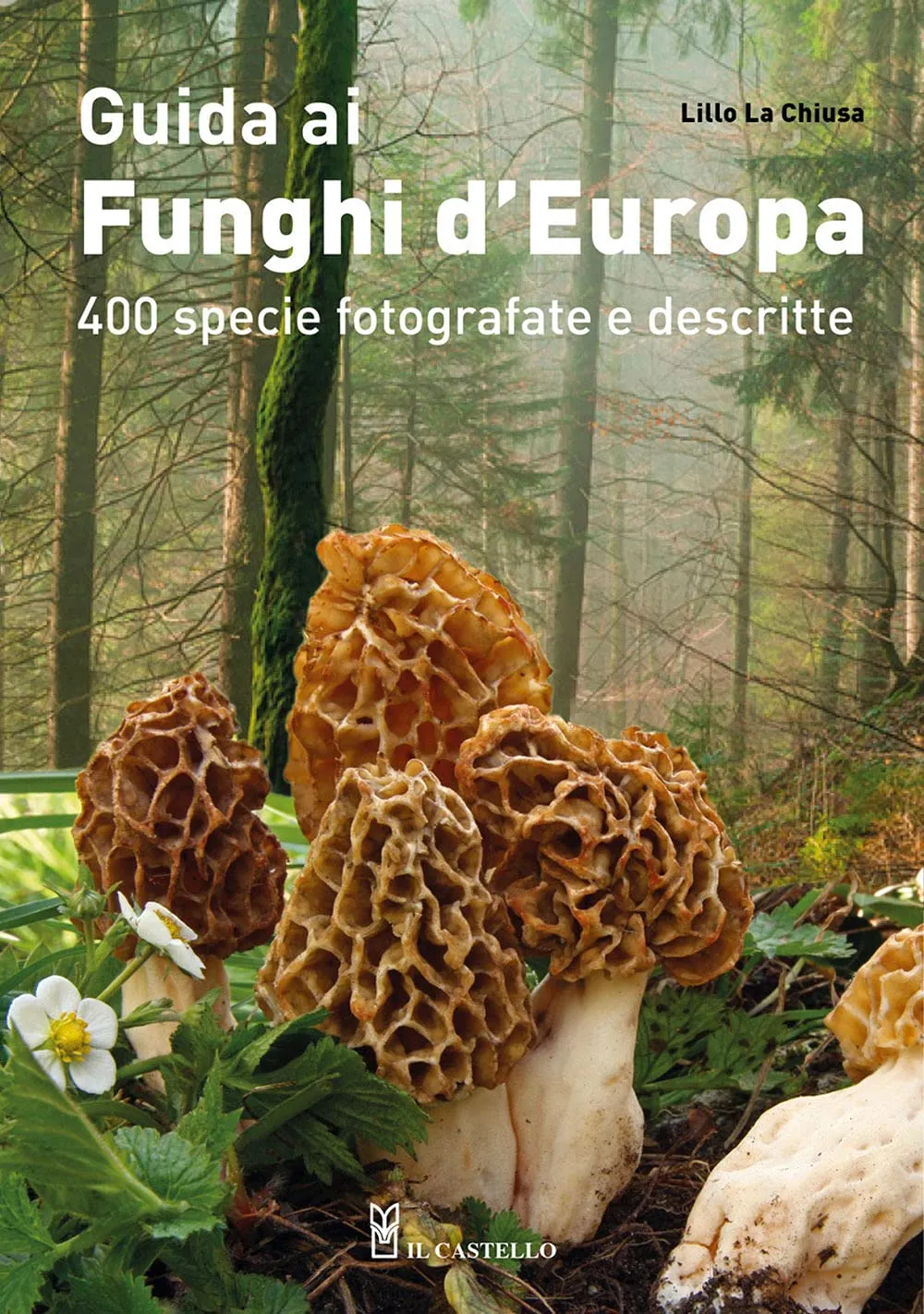Guida ai funghi d'Europa. 400 specie fotografate e descritte. Ediz. a colori
