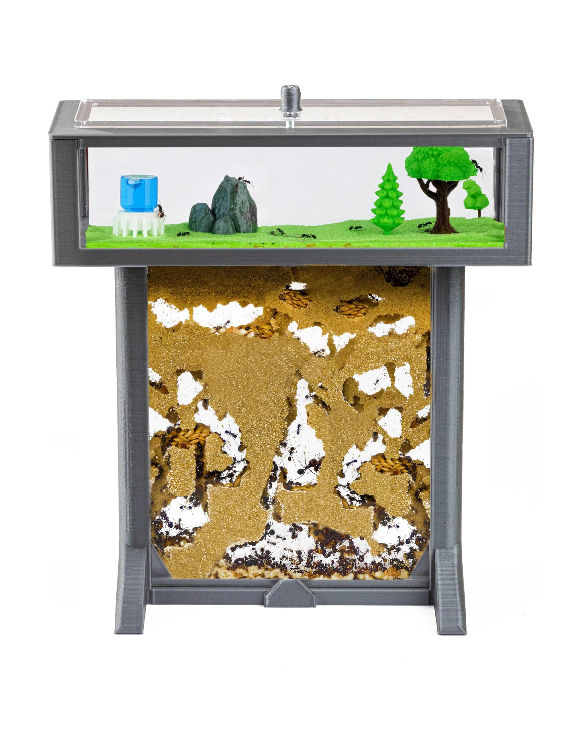 AntHouse - Formicaio di Sabbia | Kit T 3D 15x15x1,5 cm | Fattoria di Formiche Grigio | Formiche Incluse