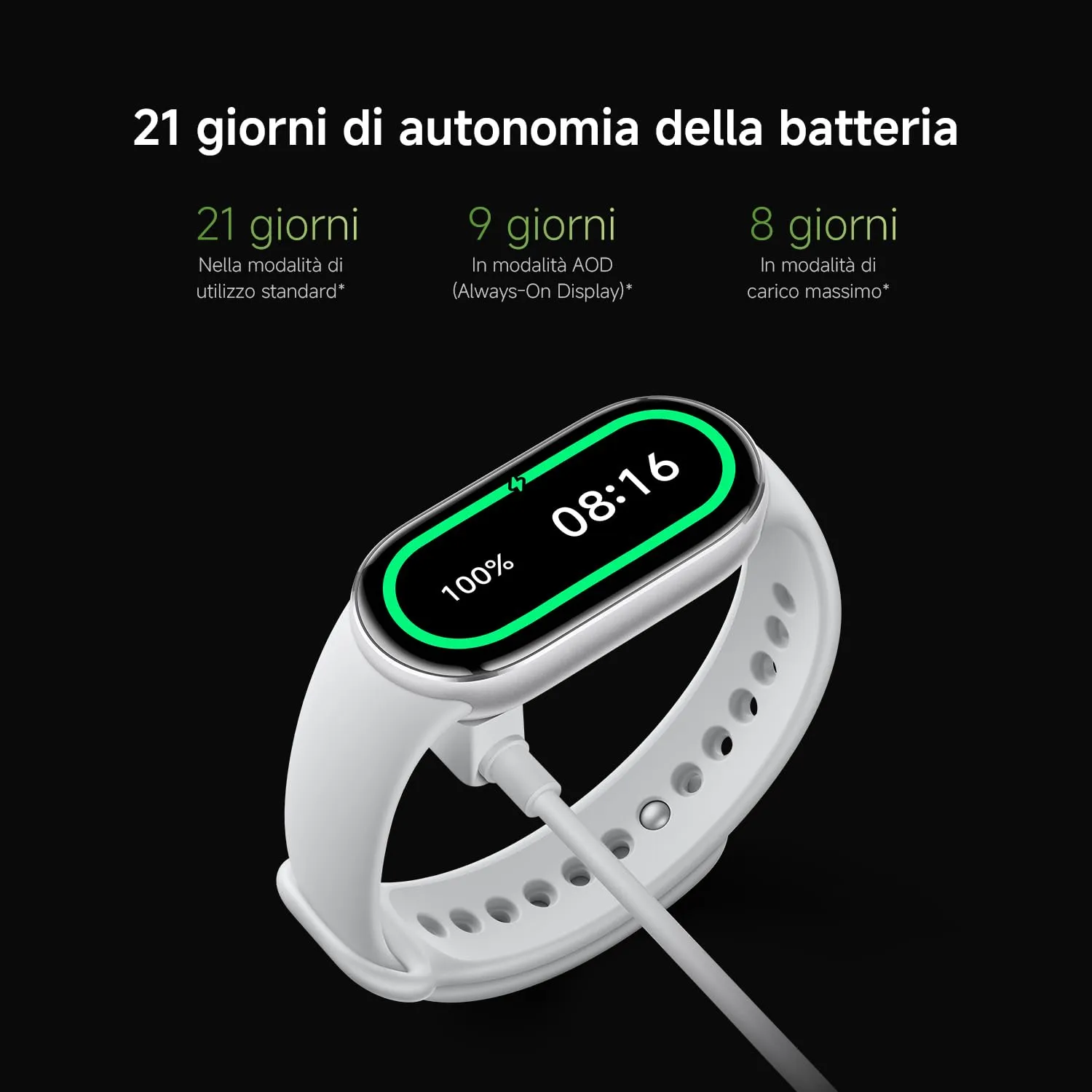 Miniatura 12