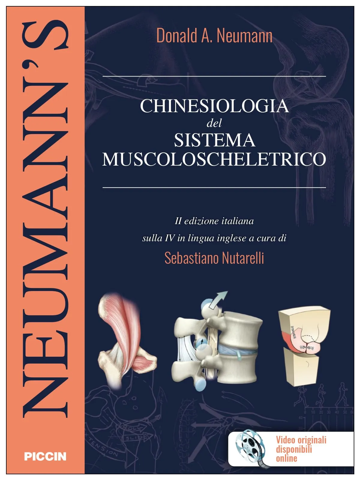 Chinesiologia del sistema muscoloscheletrico