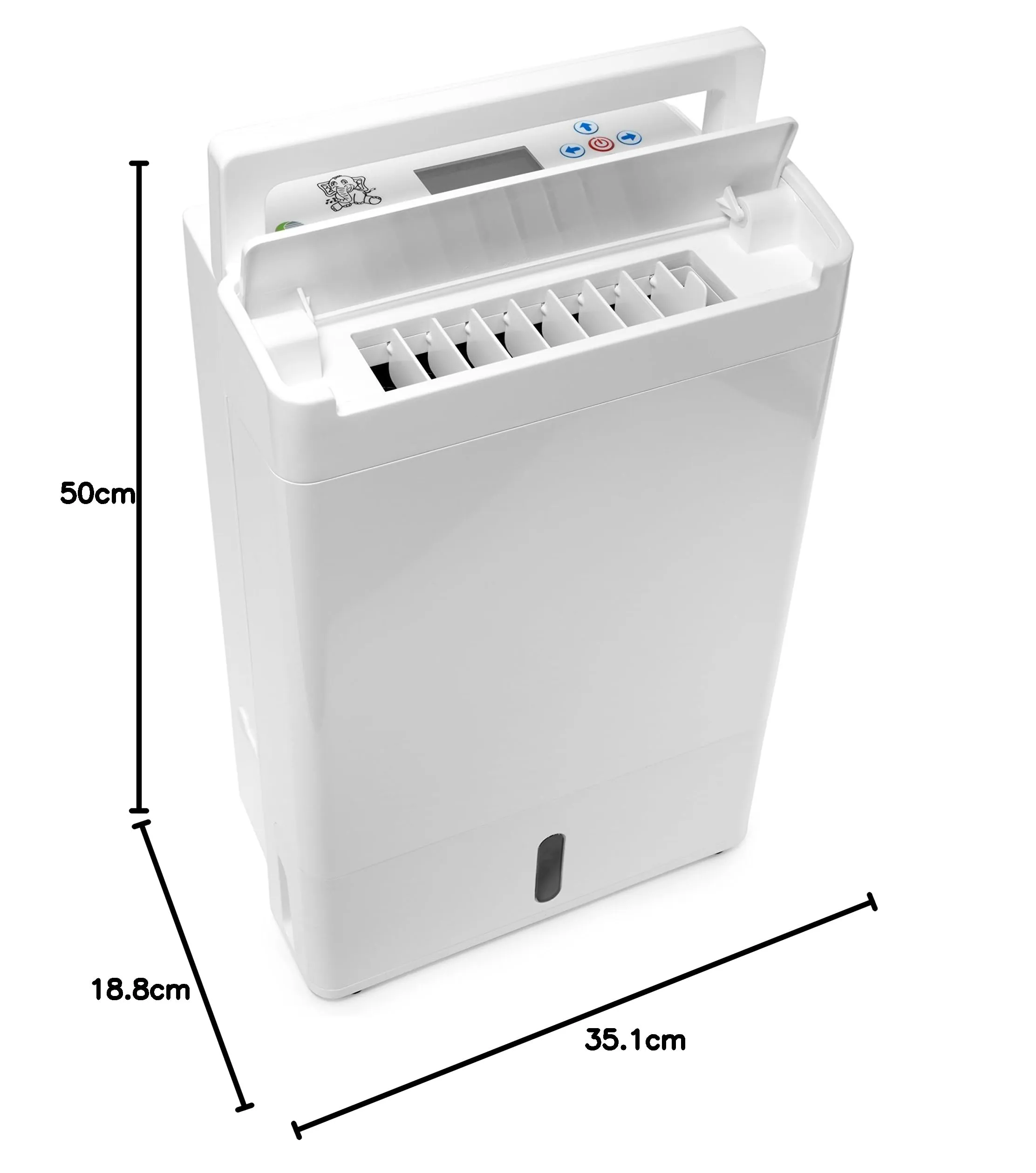 Miniatura 9