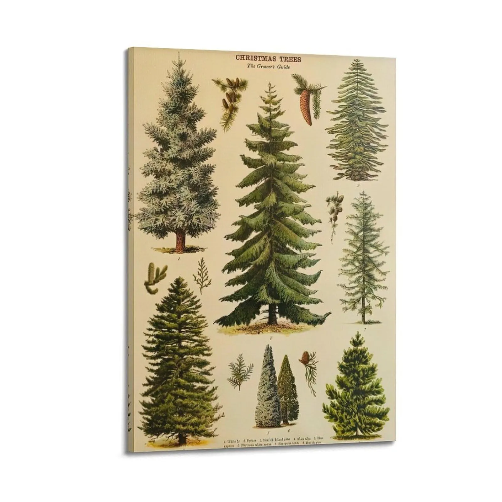 Poster Vintage Albero di Natale su Tela - Decorazione Murale Artistica