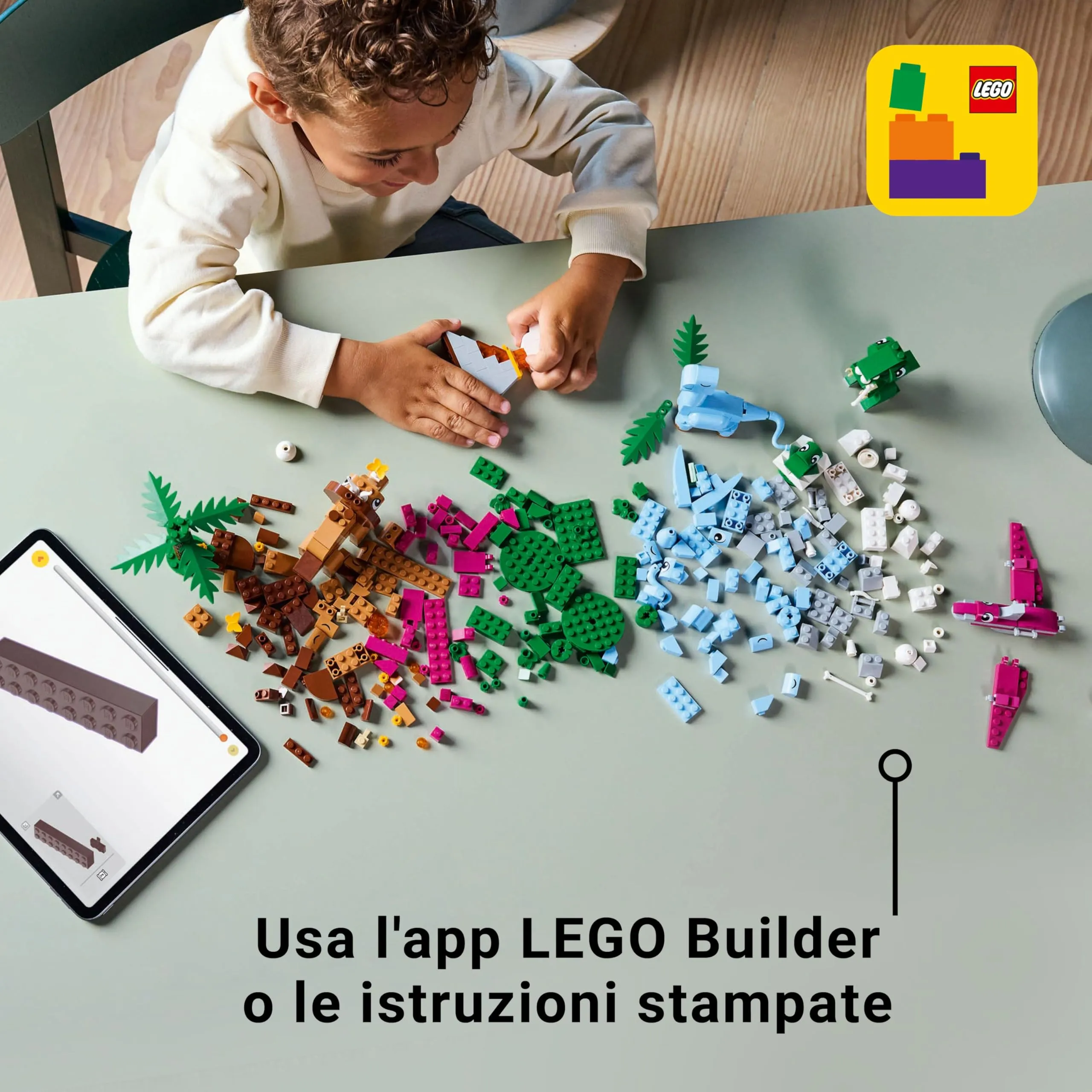 Miniatura 7