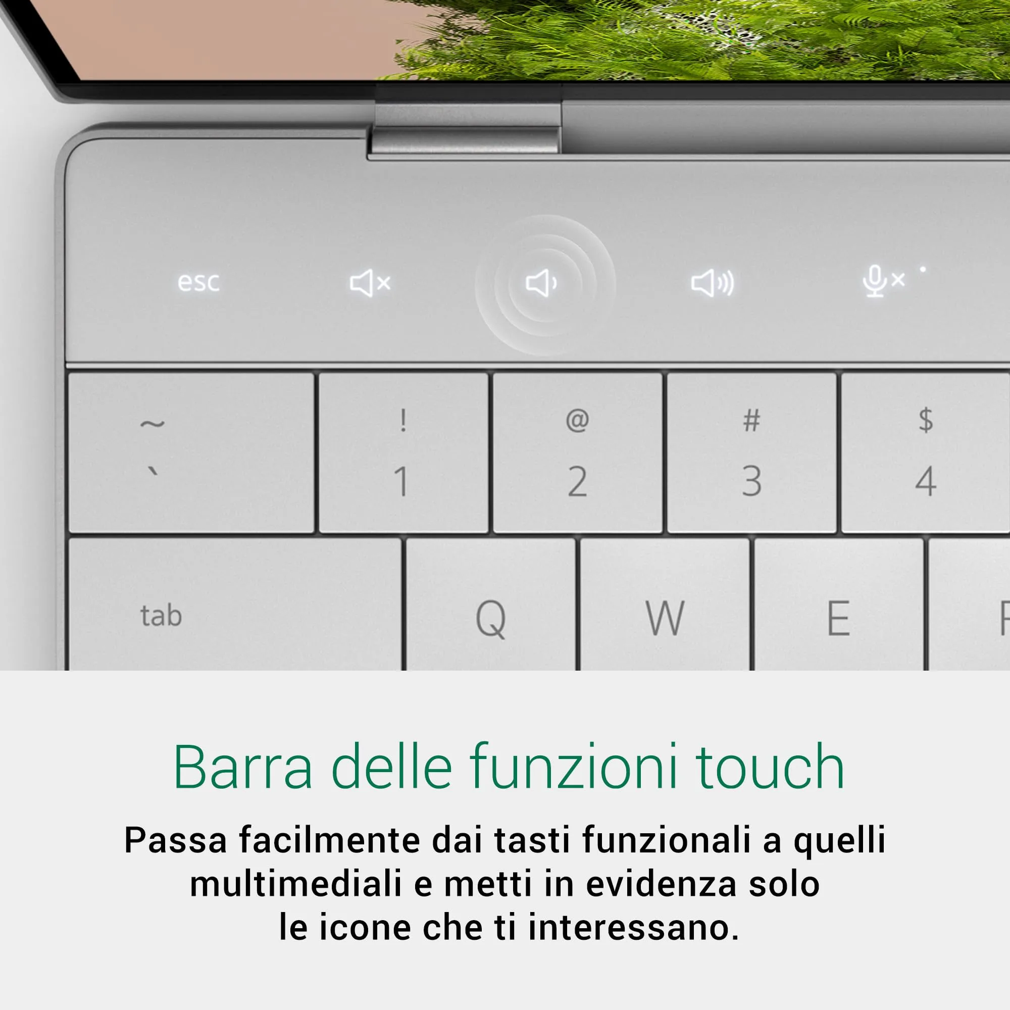 Miniatura 13