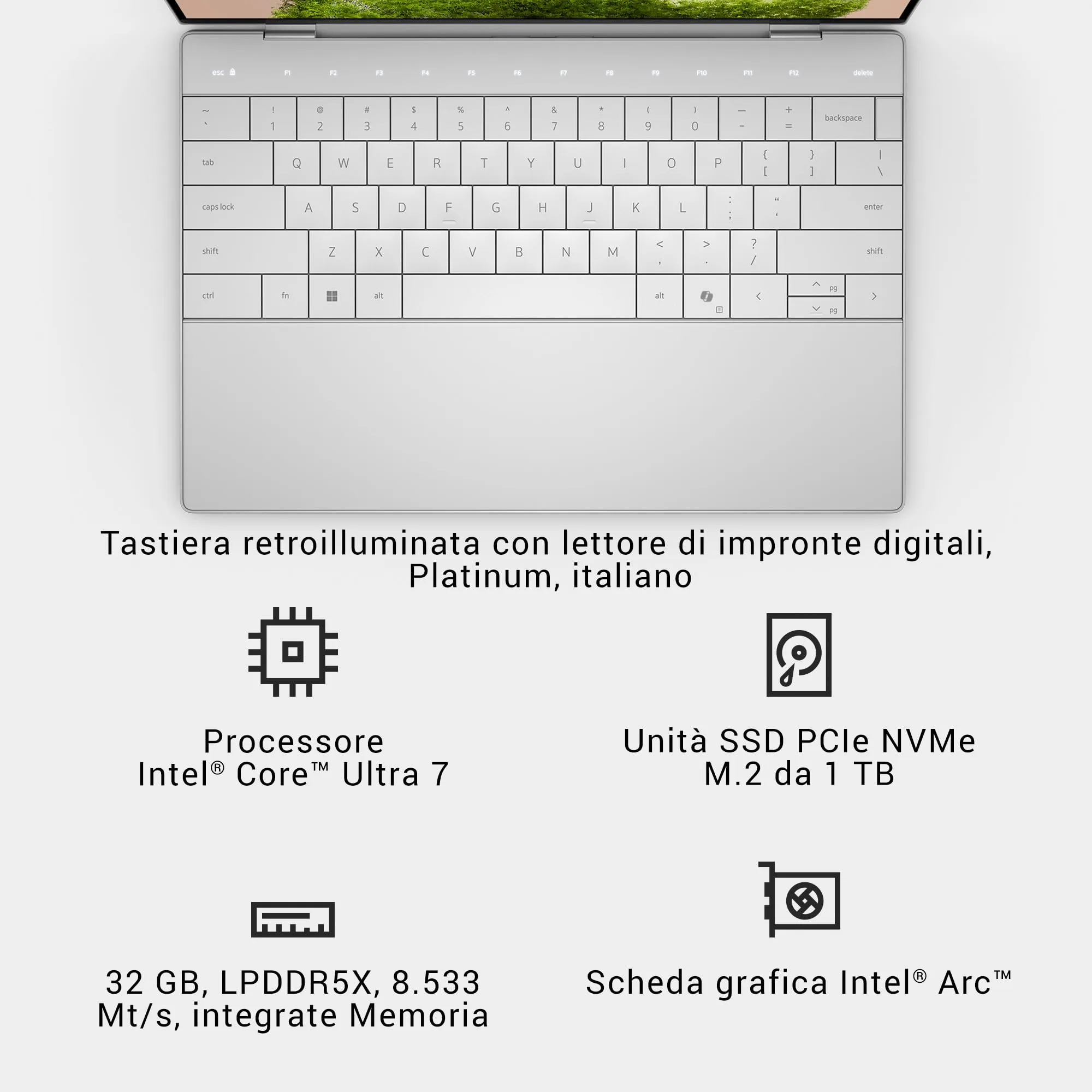 Miniatura 17