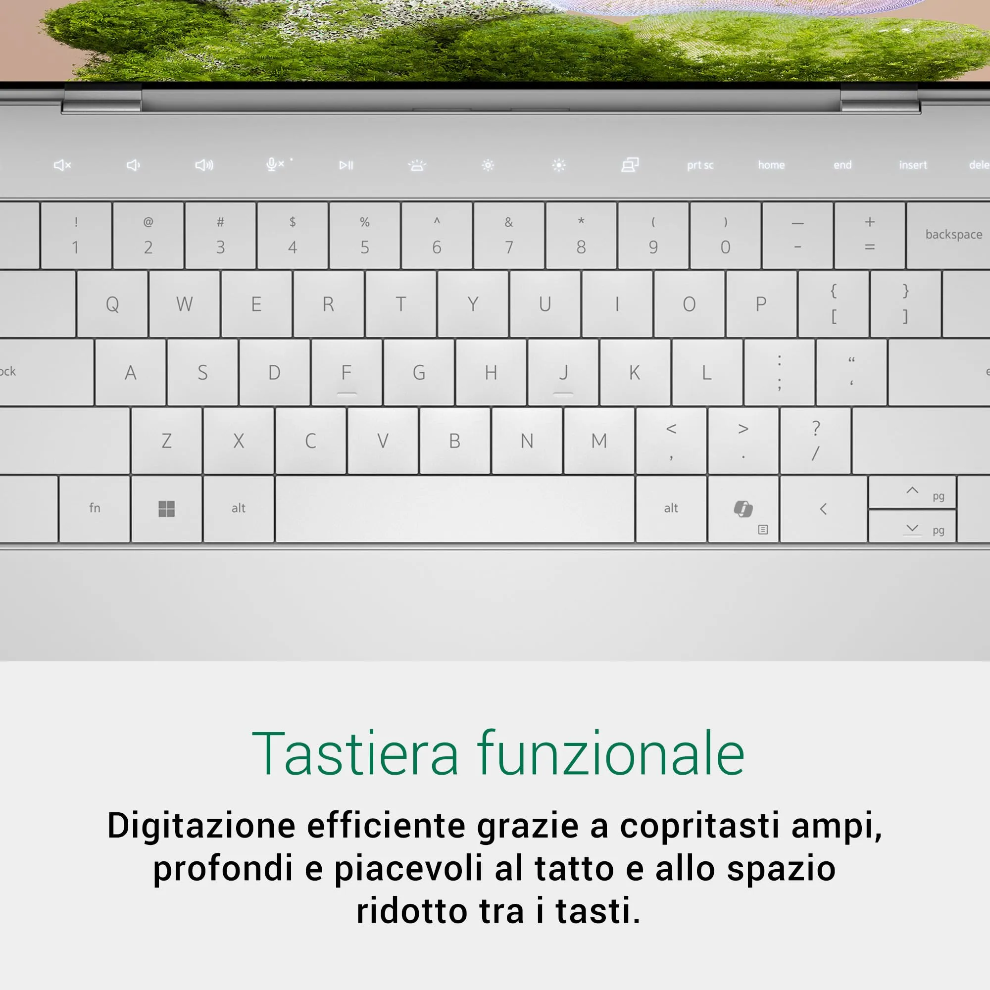 Miniatura 10
