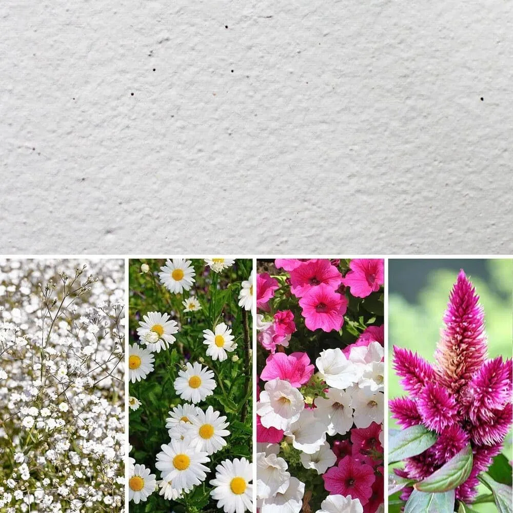 Eco-Card® Carta Ecologica con Semi MIX FIORI, Biodegradabile, Piantabile, Formato A4, 150gr (10 Fogli)