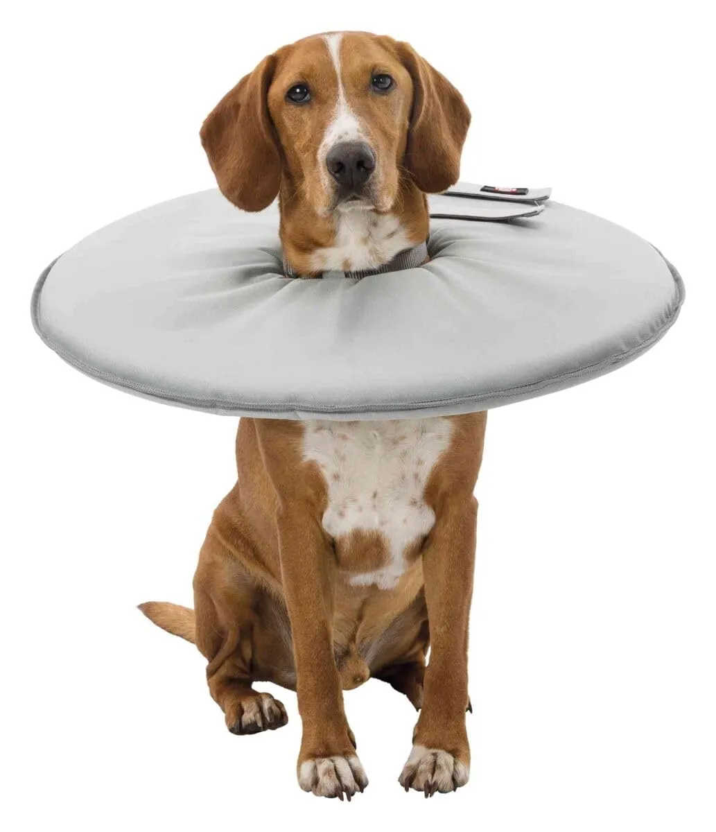 Trixie Collare Protettivo per Cani XS Grigio