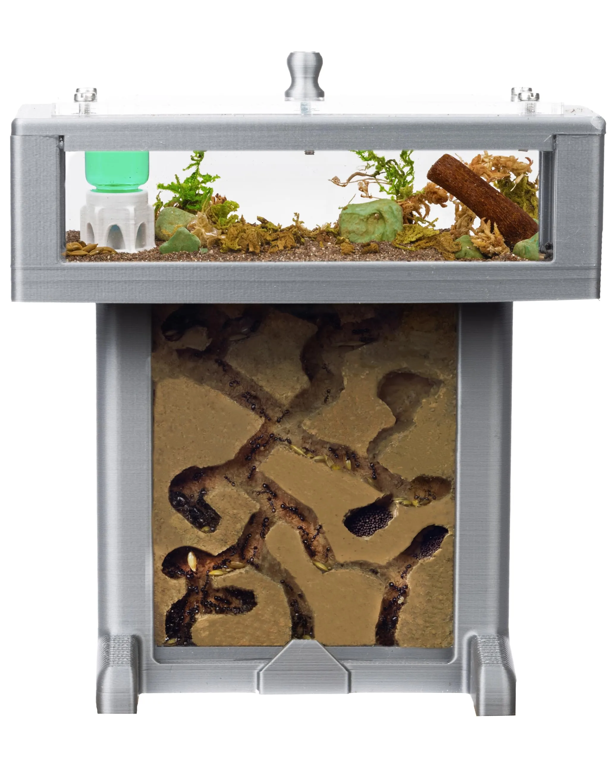 Anthouse.es - Formicaio in Schiuma 3D Kit T Grigio con Formiche Incluse