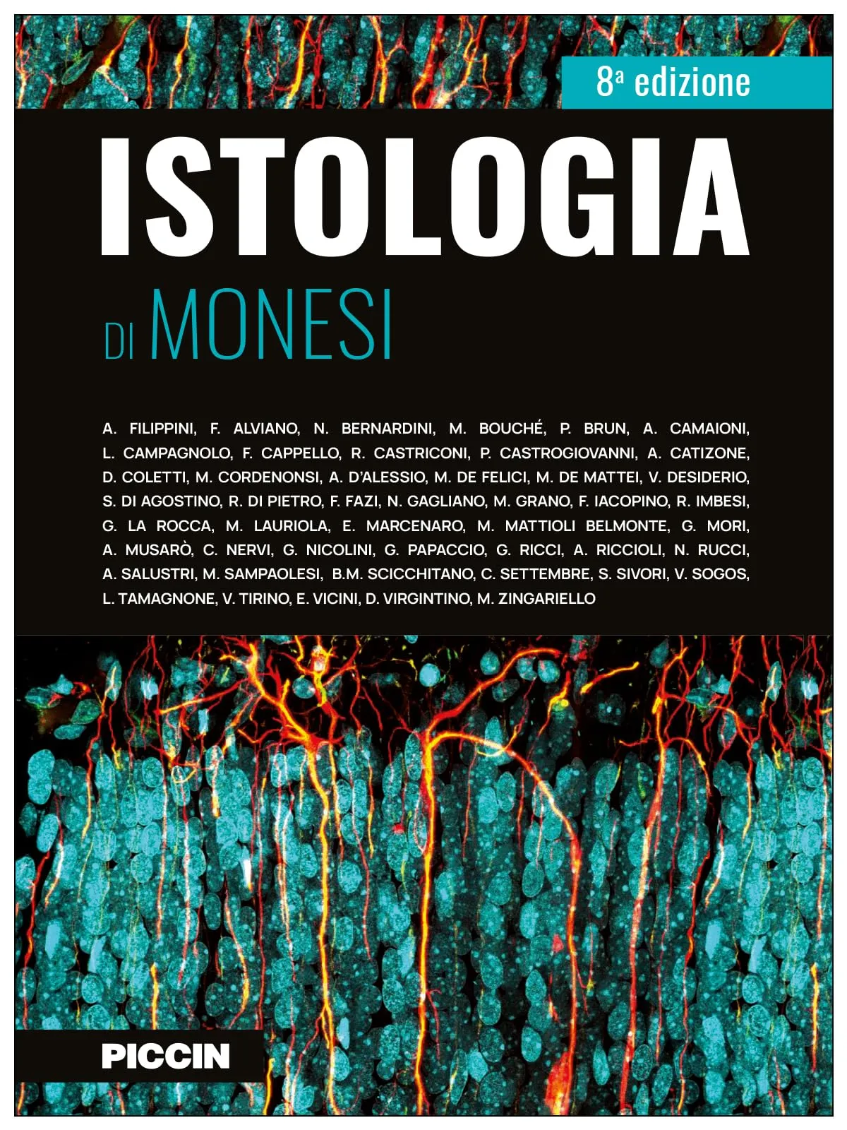 Istologia di Monesi: Un Viaggio Microscopico nel Corpo Umano