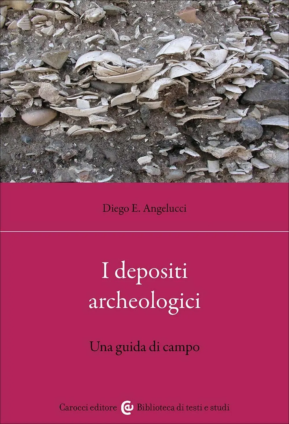 I depositi archeologici. Una guida di campo