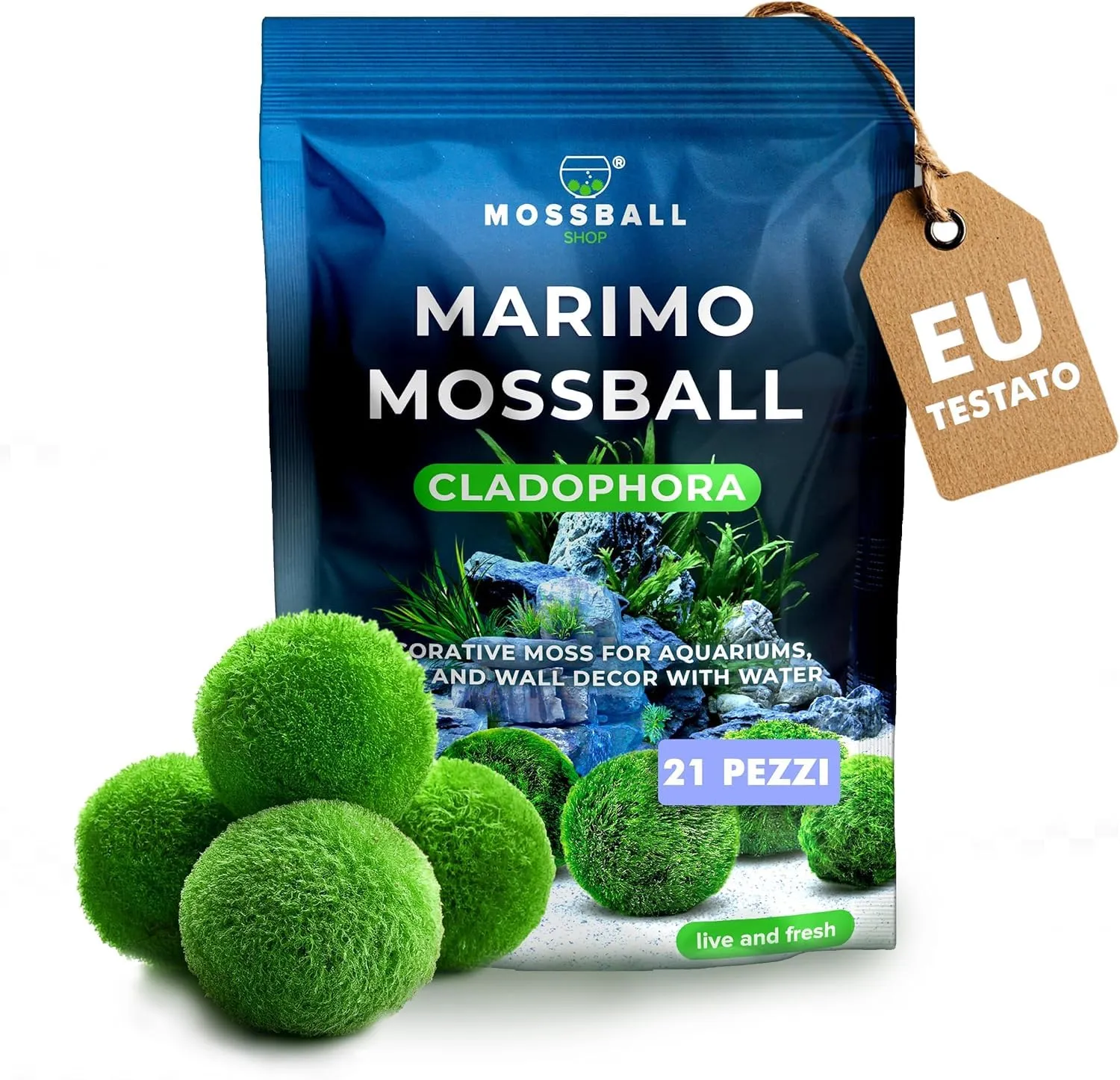 11 pezzi Marimo Alga Viva per Acquario