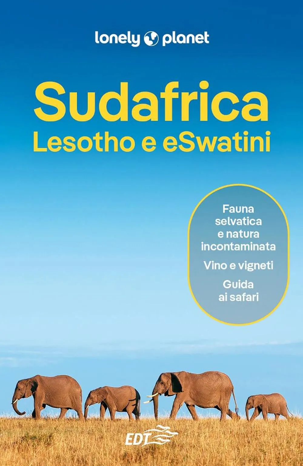 Guida Lonely Planet Sudafrica, Lesotho e Eswatini