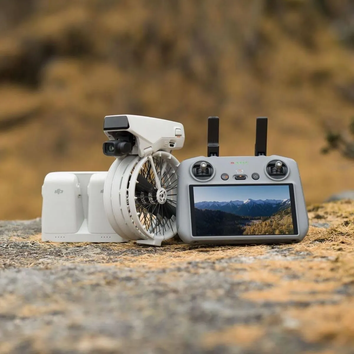 Miniatura 2
