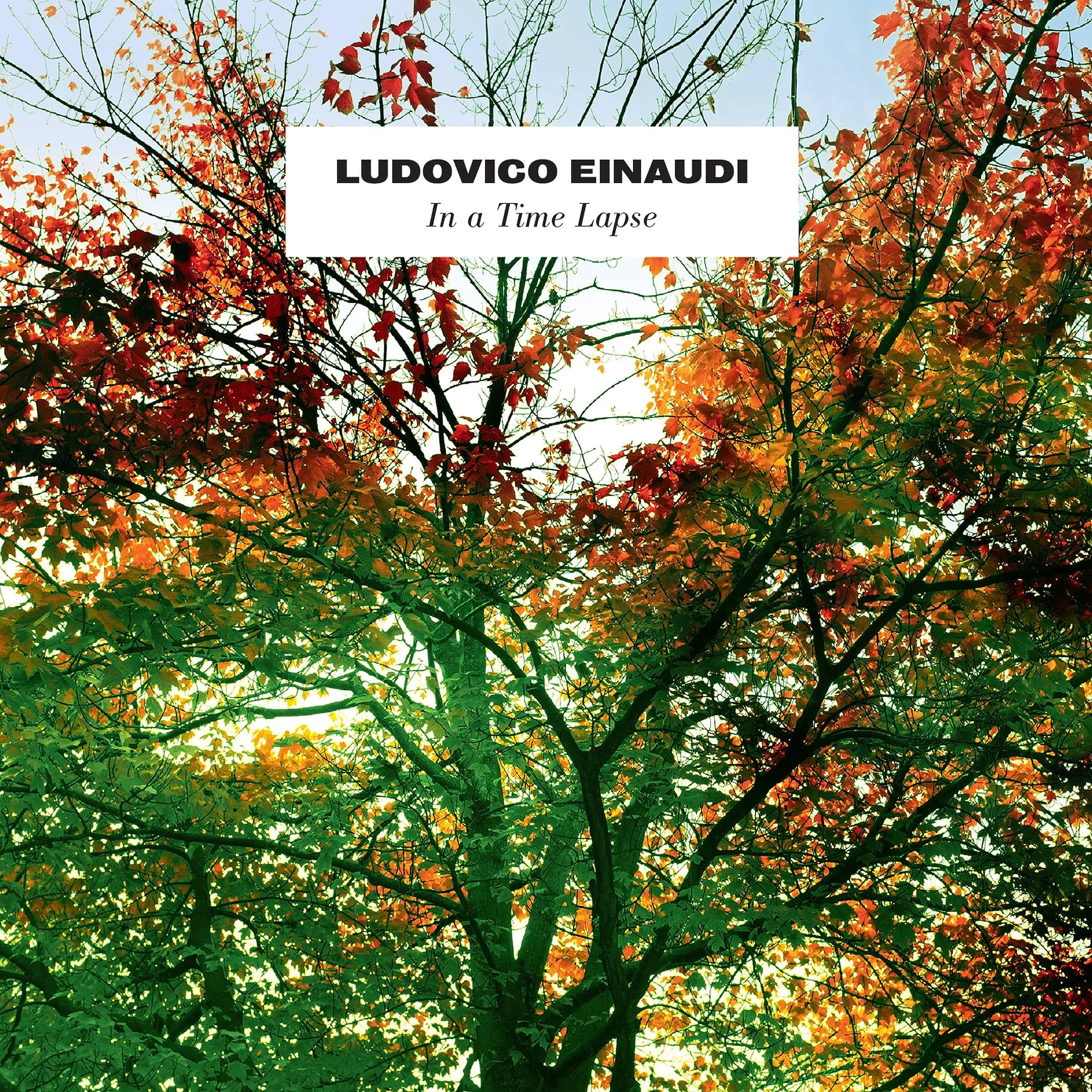 In A Time Lapse - Ludovico Einaudi