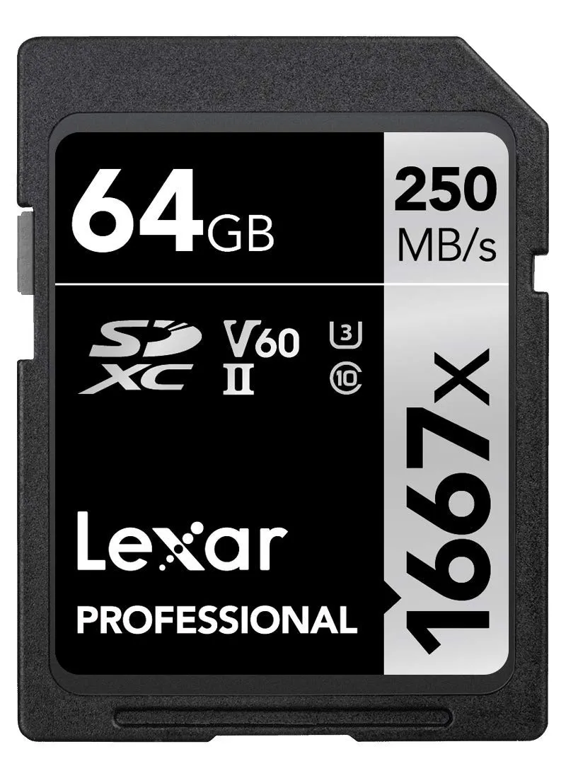 Lexar Professional 1667x Scheda SD 64GB
