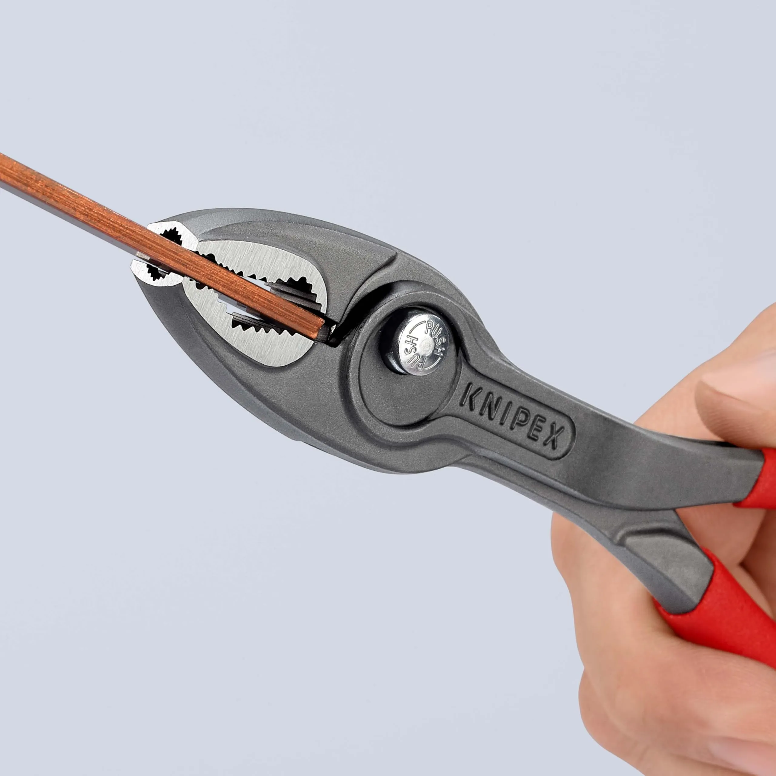 Miniatura 8