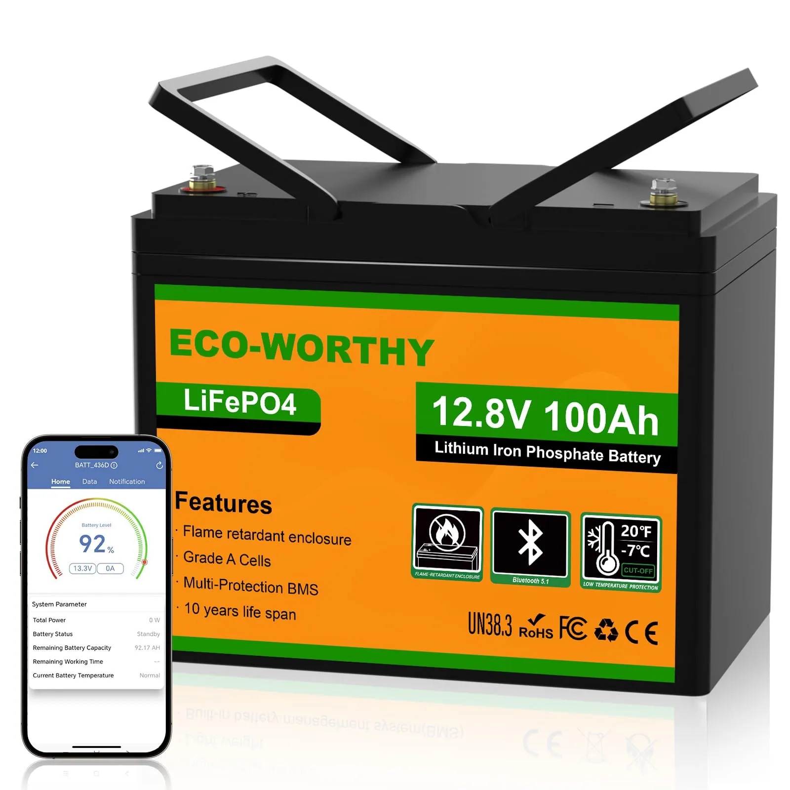 Batteria Litio LiFePO4 12V 100Ah Bluetooth ECO-WORTHY con Protezione a Bassa Temperatura