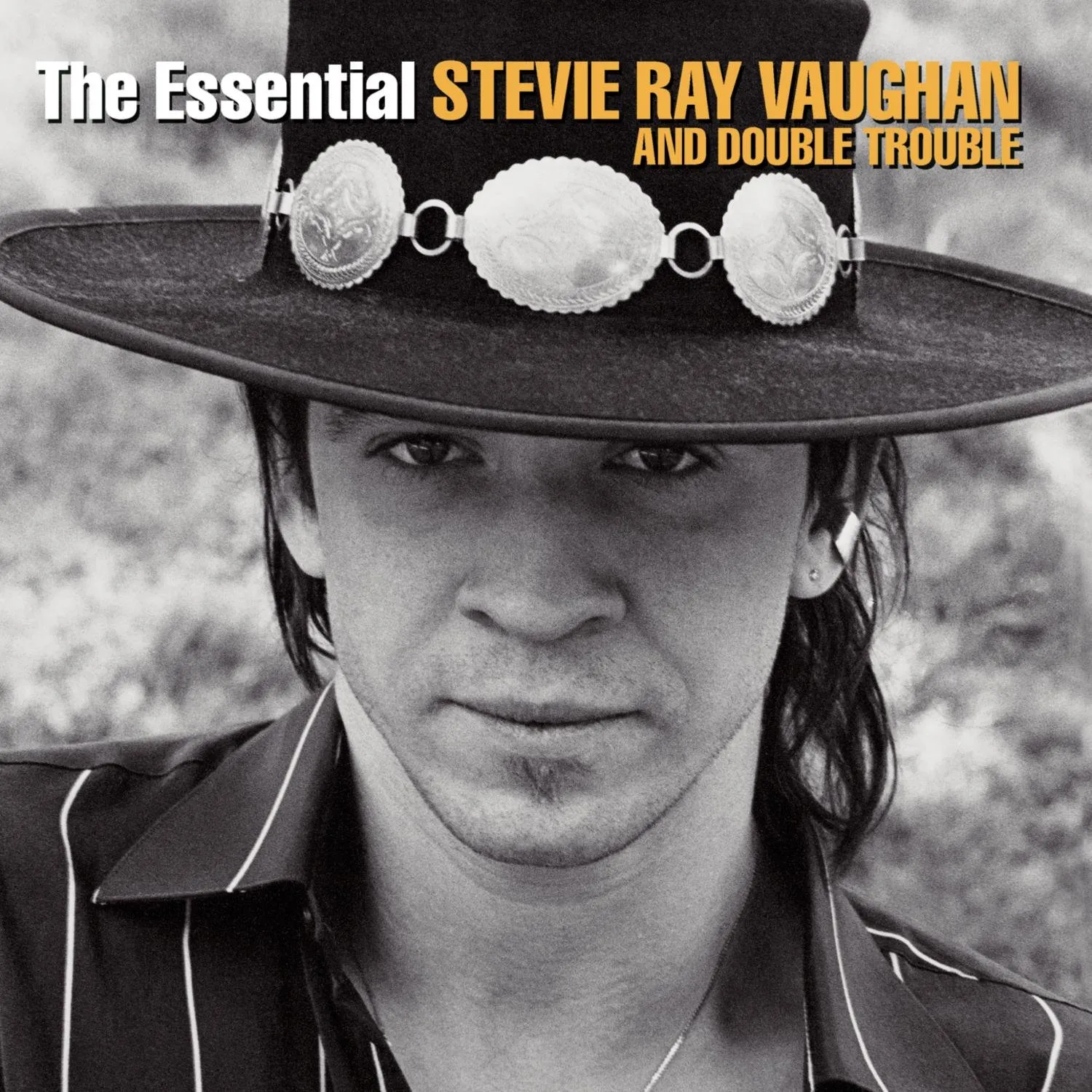 The Essential Steve Ray Vaughan