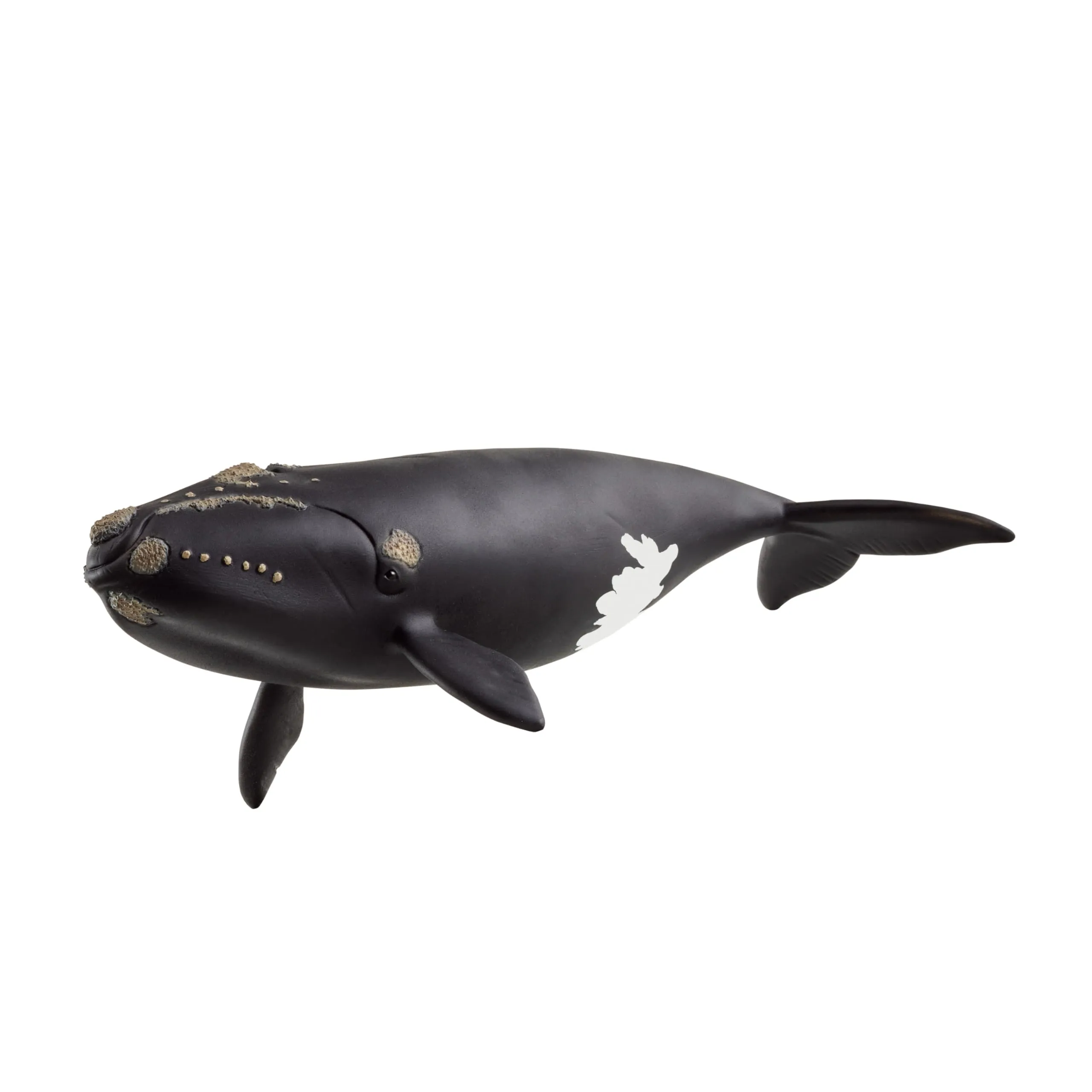 Schleich 14878 Ballena Franca Glacial