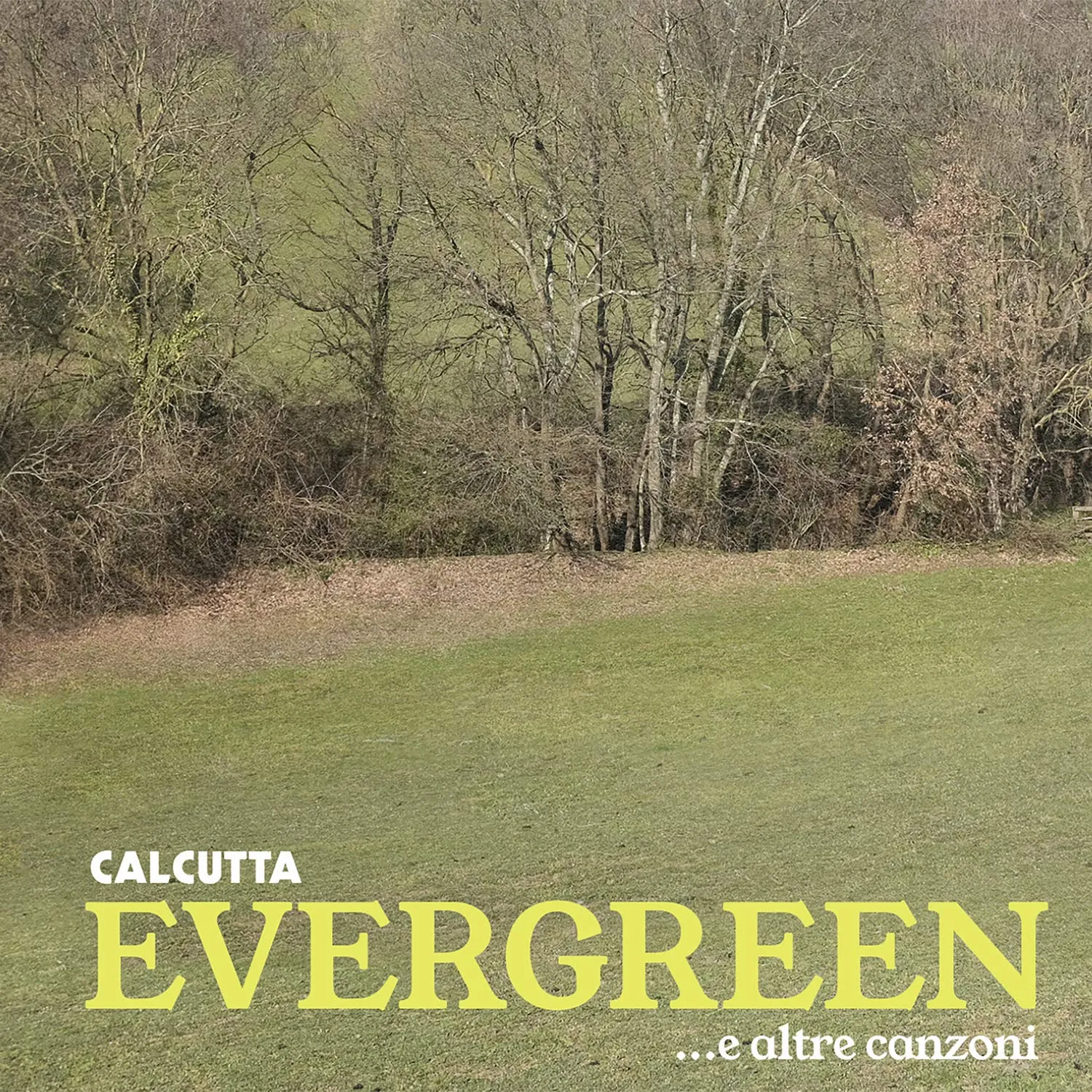 Evergreen...E Altre Canzoni - Calcutta (CD Audio)