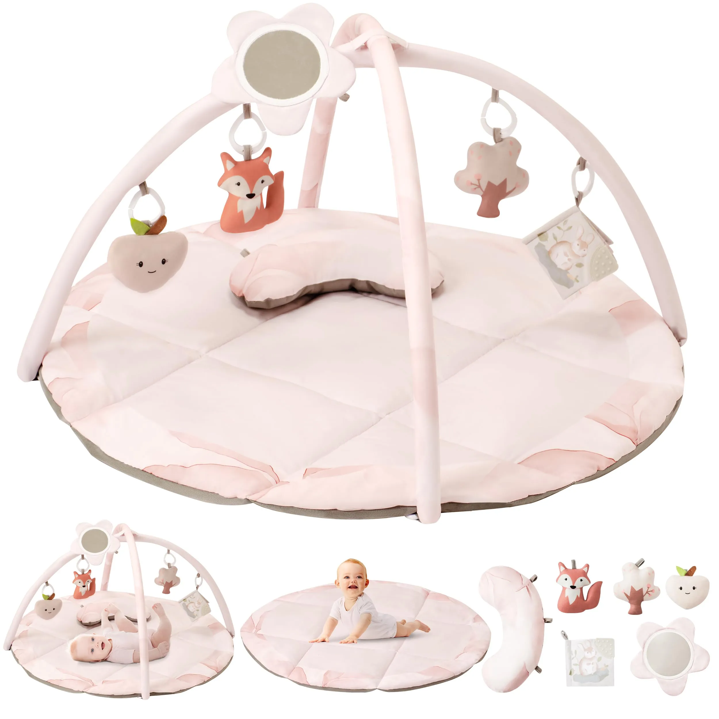 Fortella Palestrina Neonato Evolutiva
