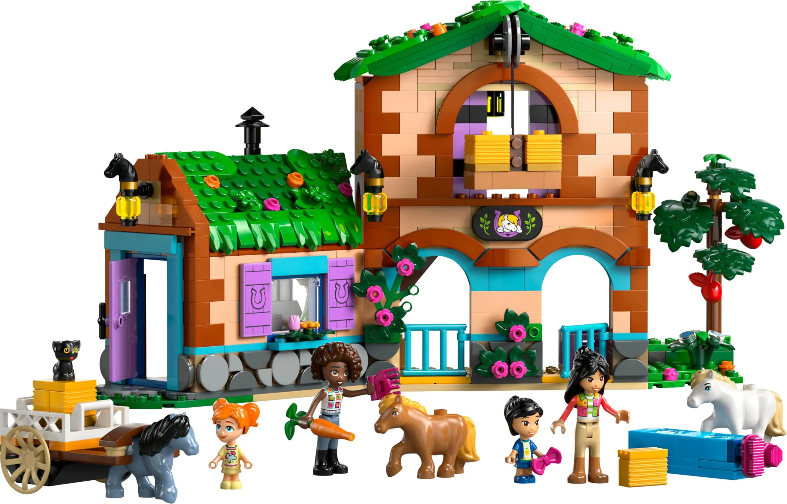 Miniatura 10