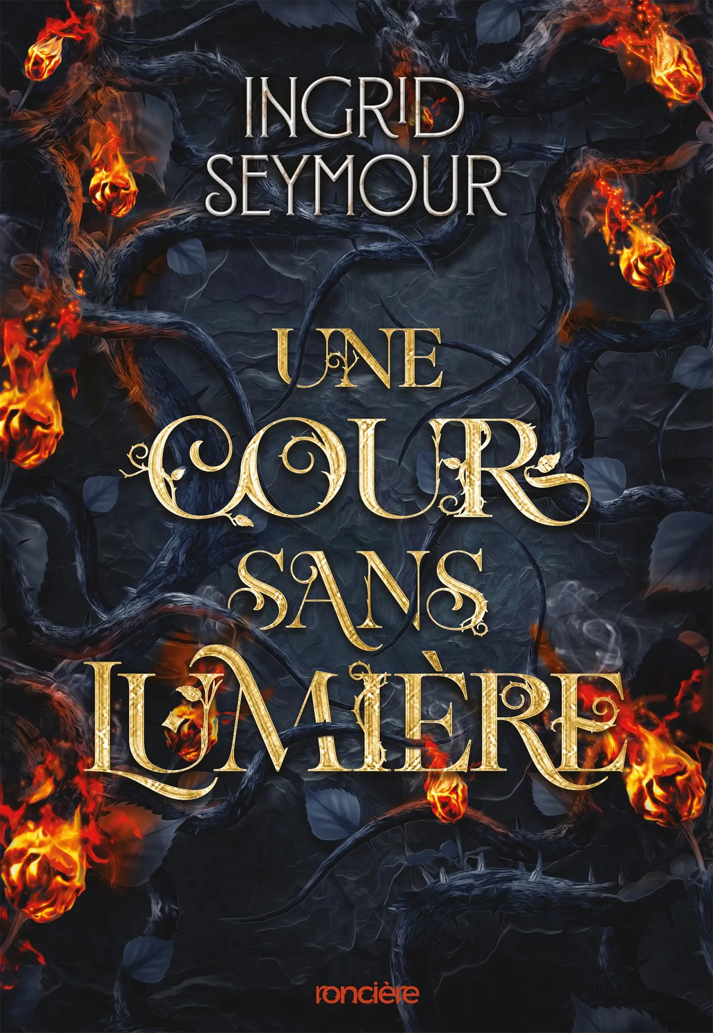 Une cour sans lumière - e-book - Tome 03 La Guérisseuse de royaumes (French Edition)