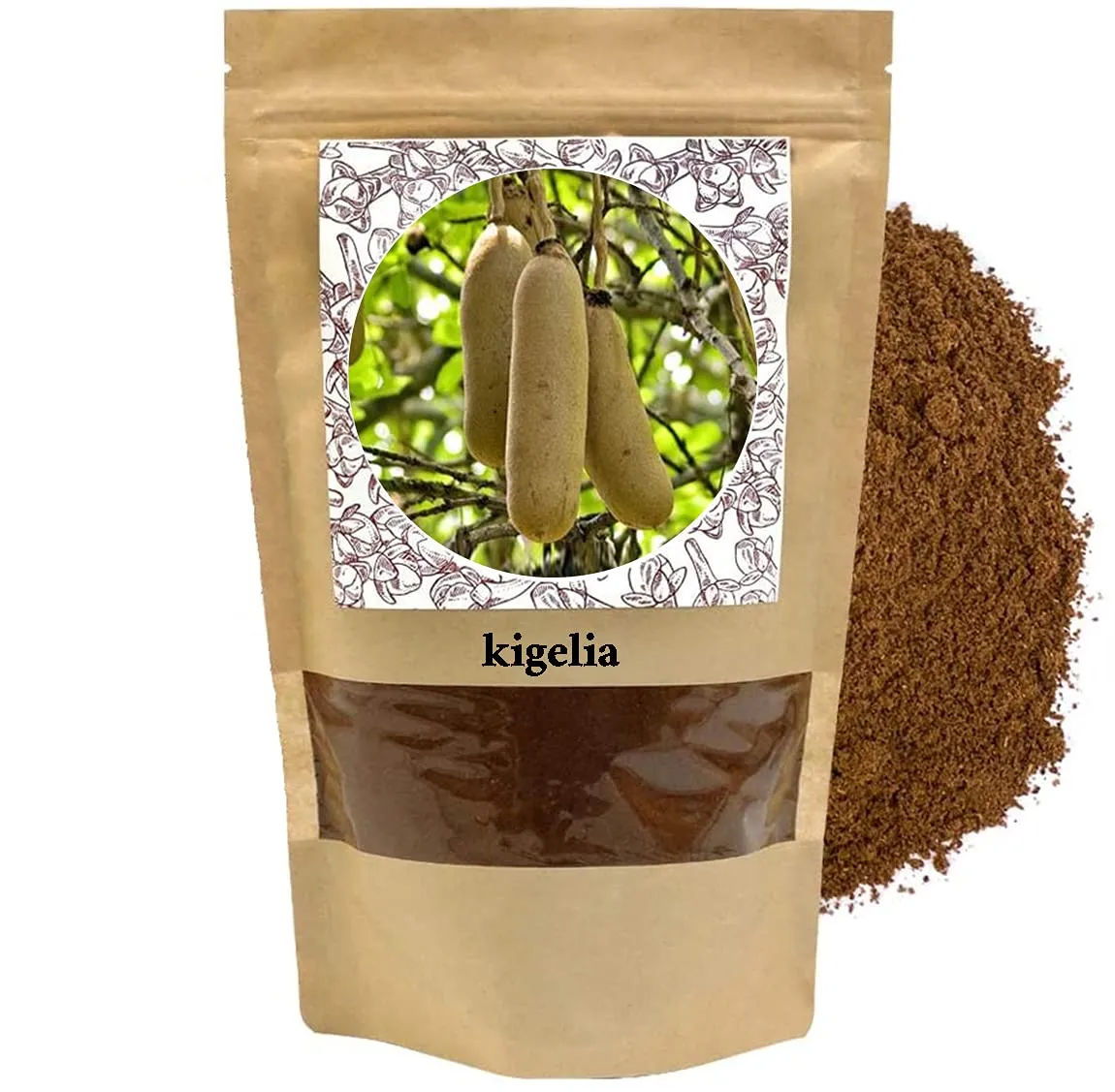 Kigelia Africana Polvere 100g - L'Albero Salsiccia per il Benessere della Pelle