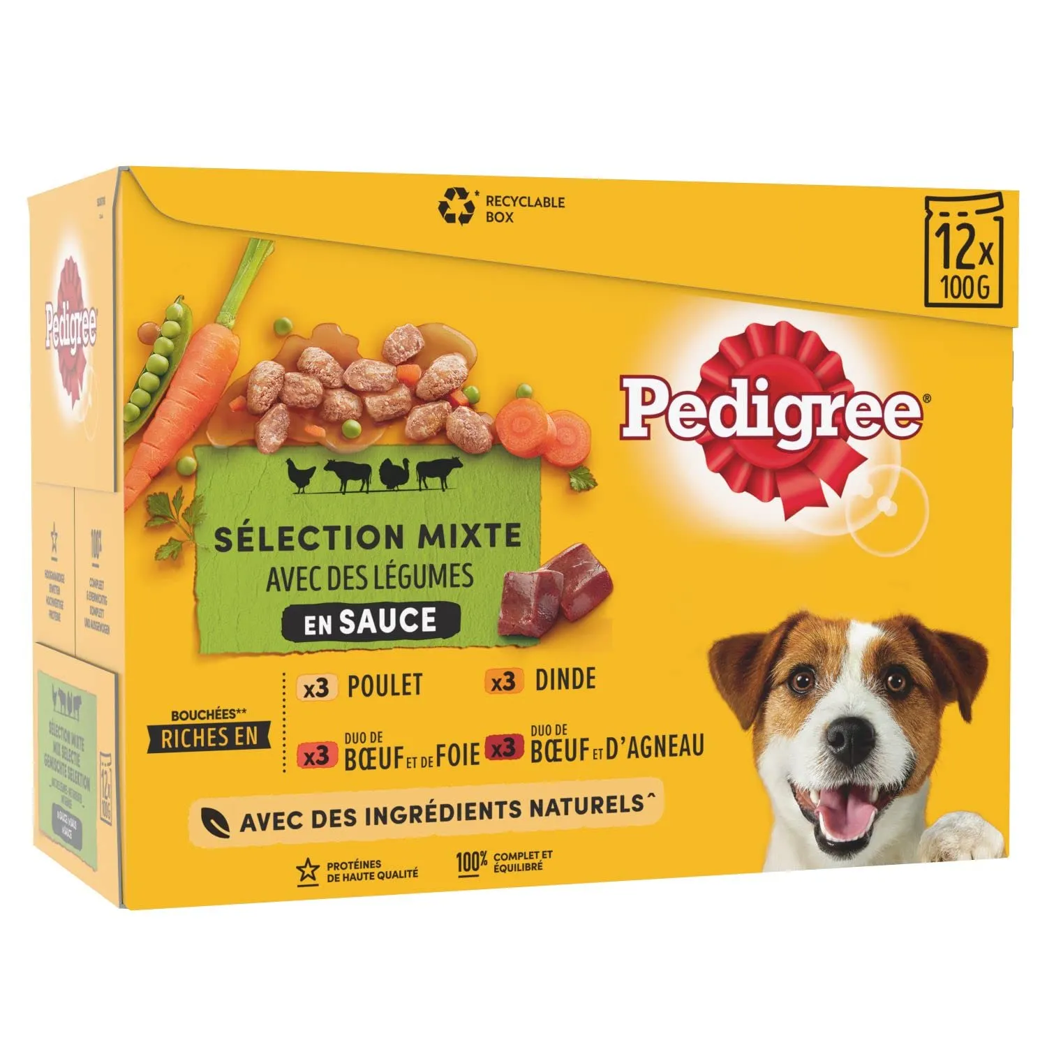 Pedigree Pâté en Sauce per Cani - 12 x 100g (4 confezioni)