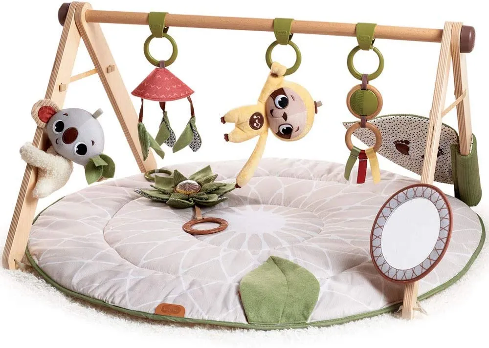 Tiny Love Boho Chic Gymini Palestrina Neonato Multifunzione