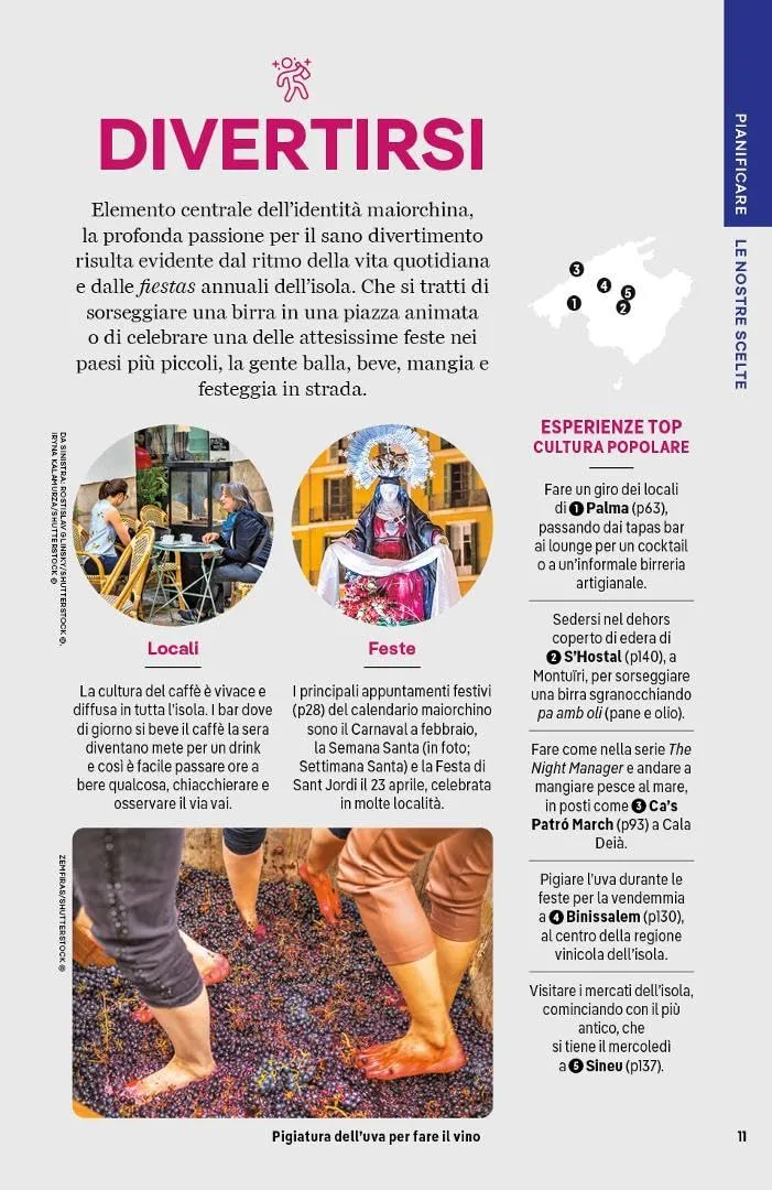 Miniatura 10