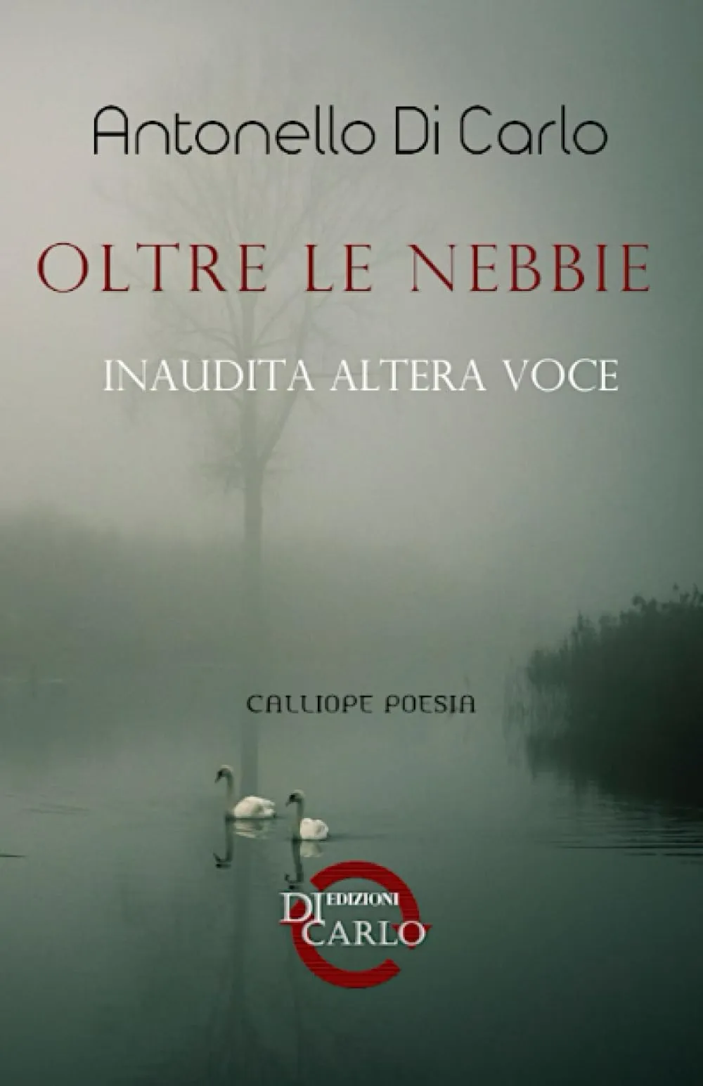 Oltre le nebbie: Inaudita altera voce