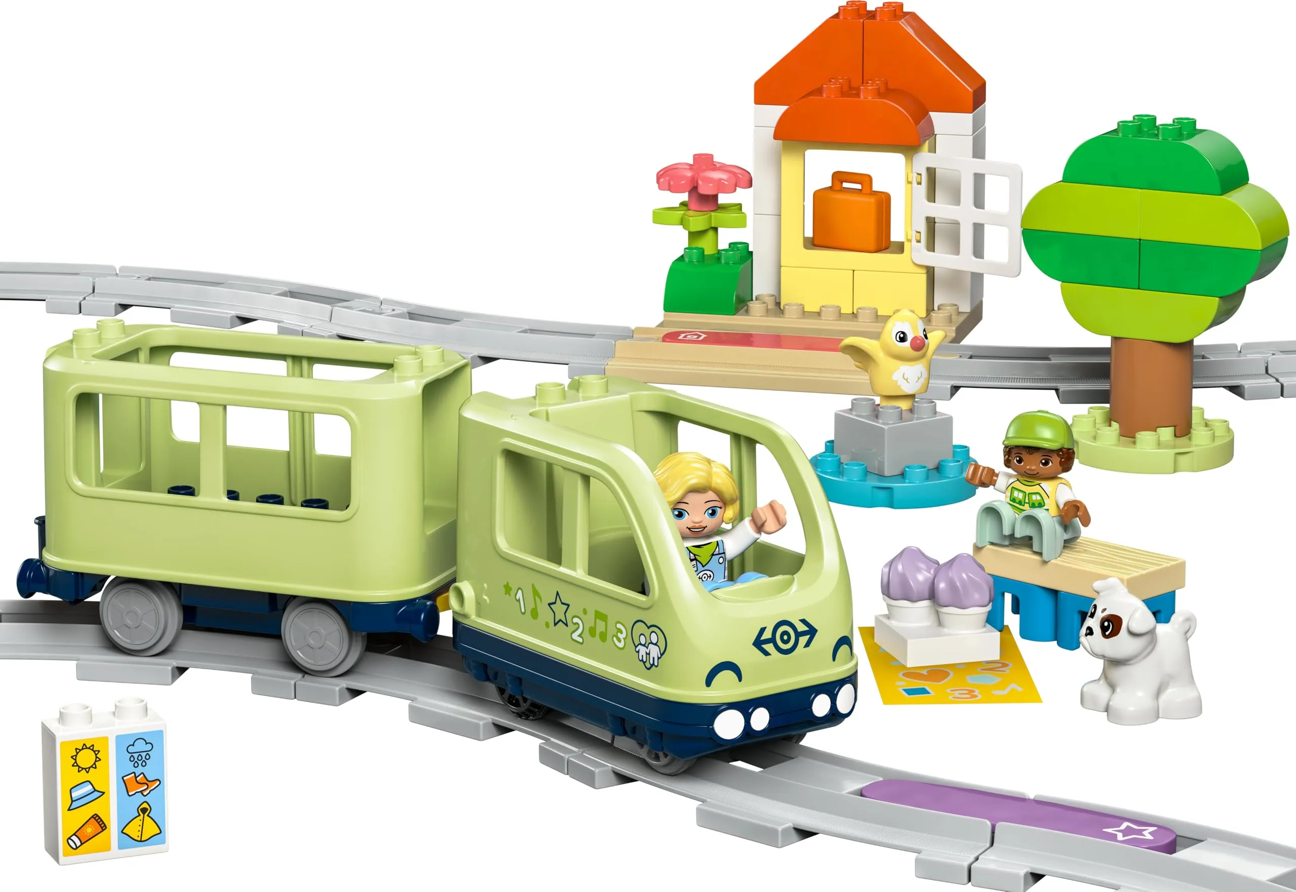Miniatura 9