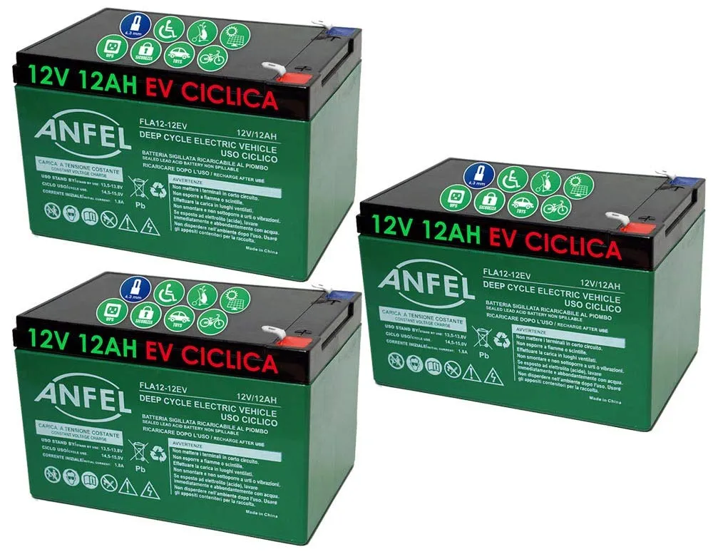 ANFEL Kit 3 Batterie al Piombo Ricaricabile 12V 36V 12AH Ciclca