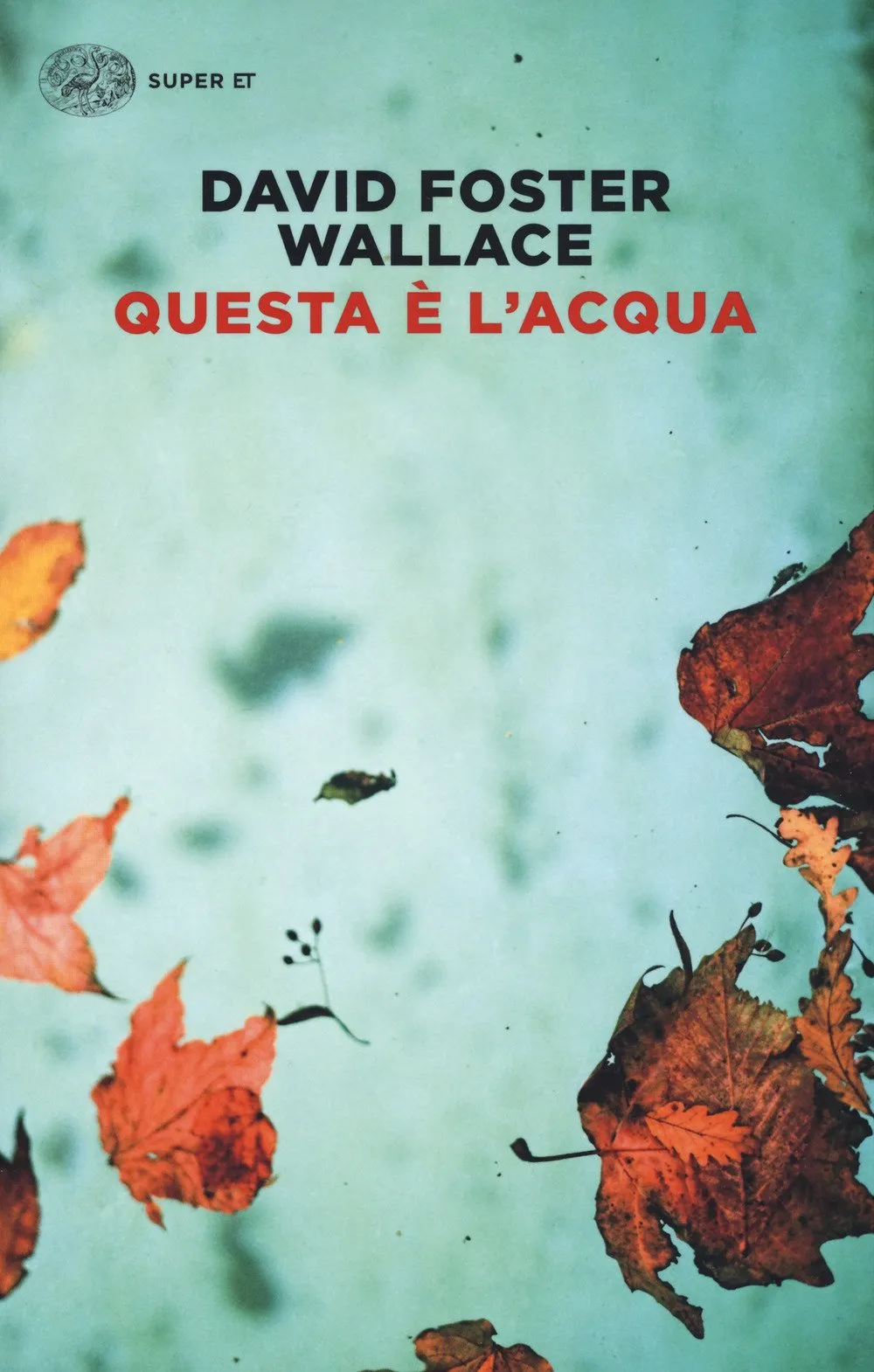 Questa è l'acqua: Sei racconti e un discorso
