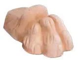 Piedini Decorativi a Testa di Leone in Terracotta per Vasi e Fioriere - Set da 10, Made in Italy