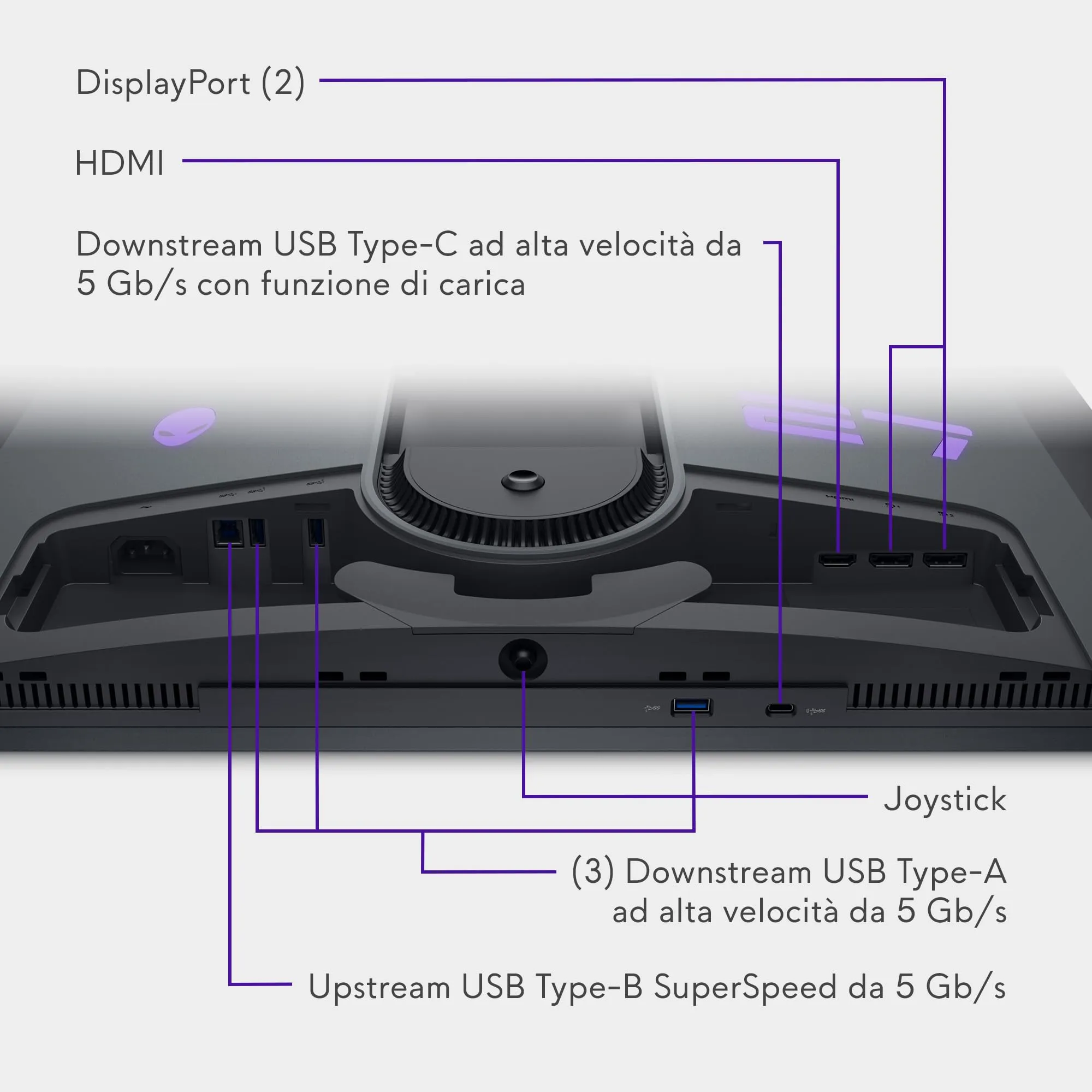 Miniatura 12