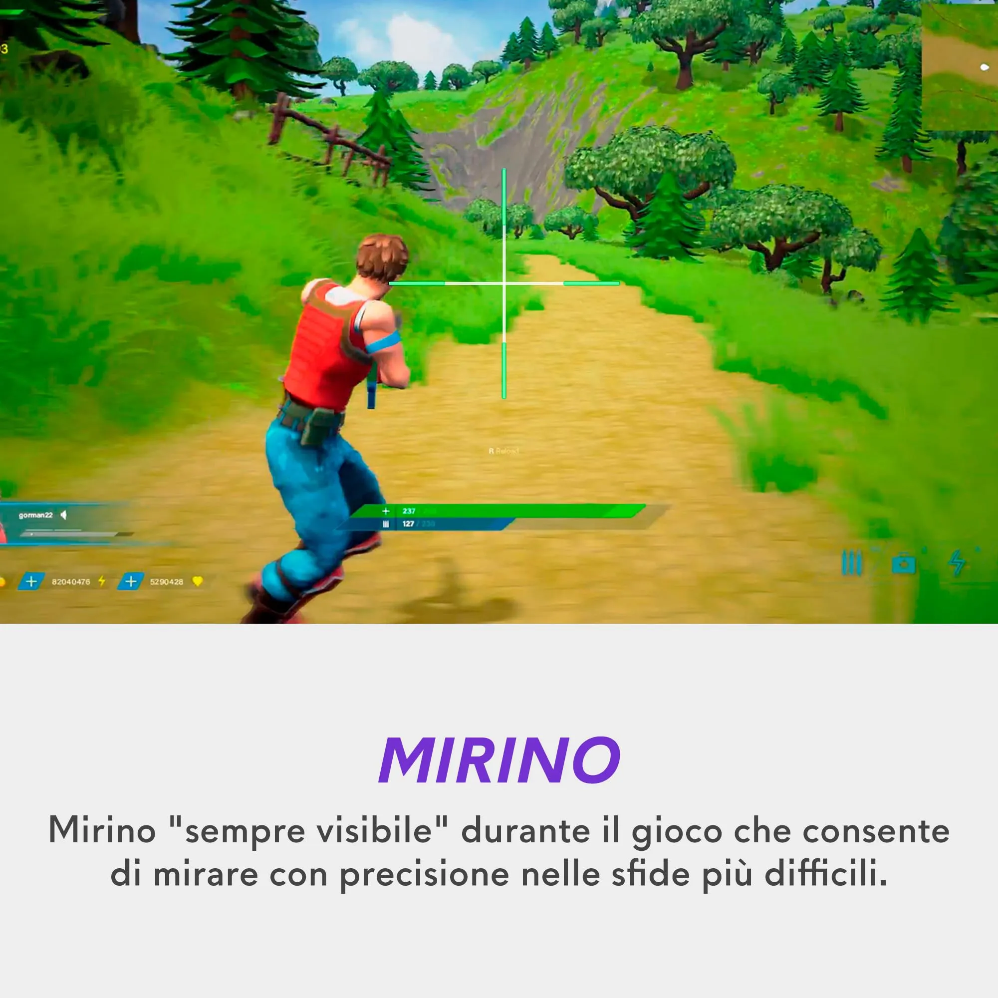 Miniatura 10