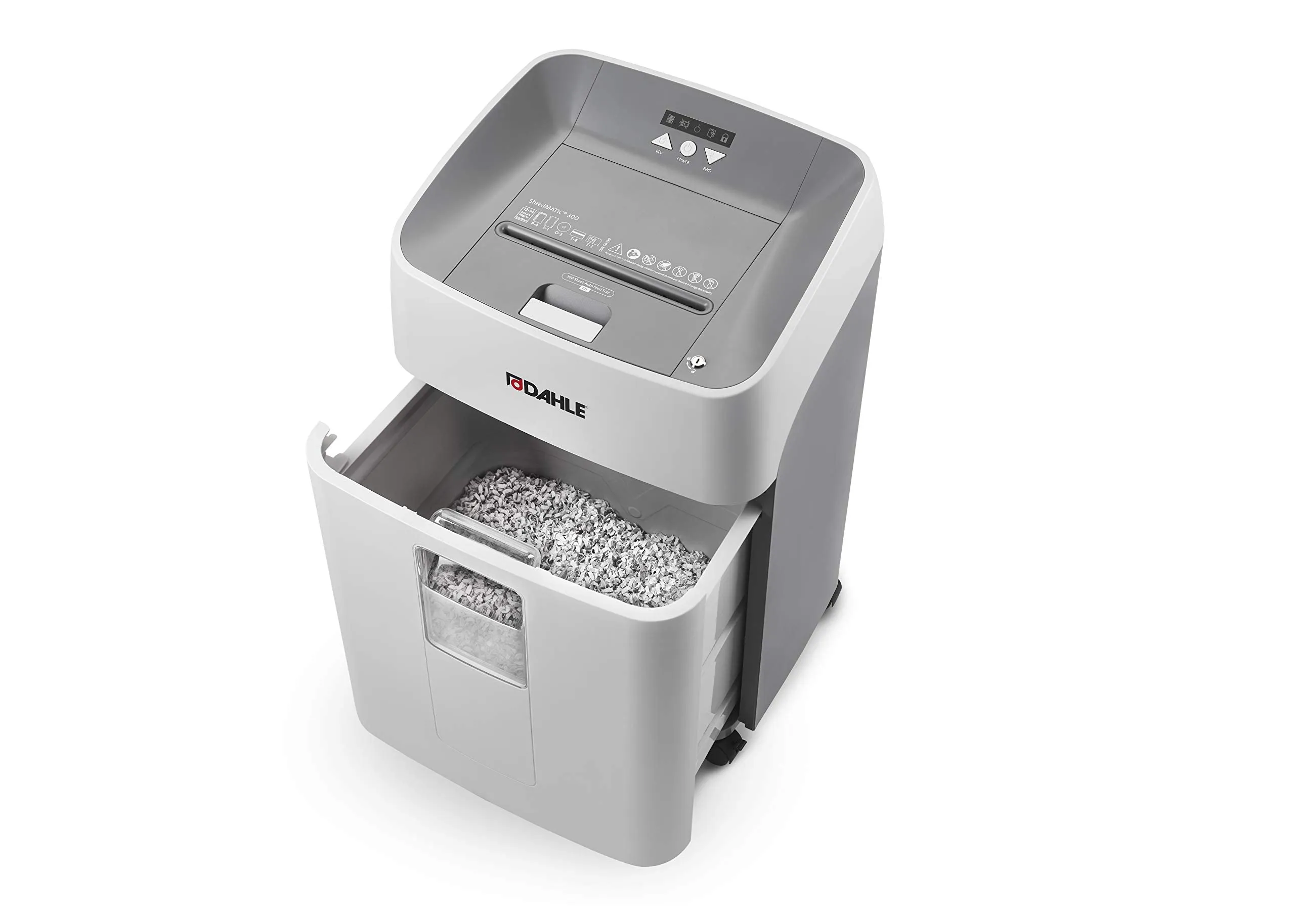Miniatura 9