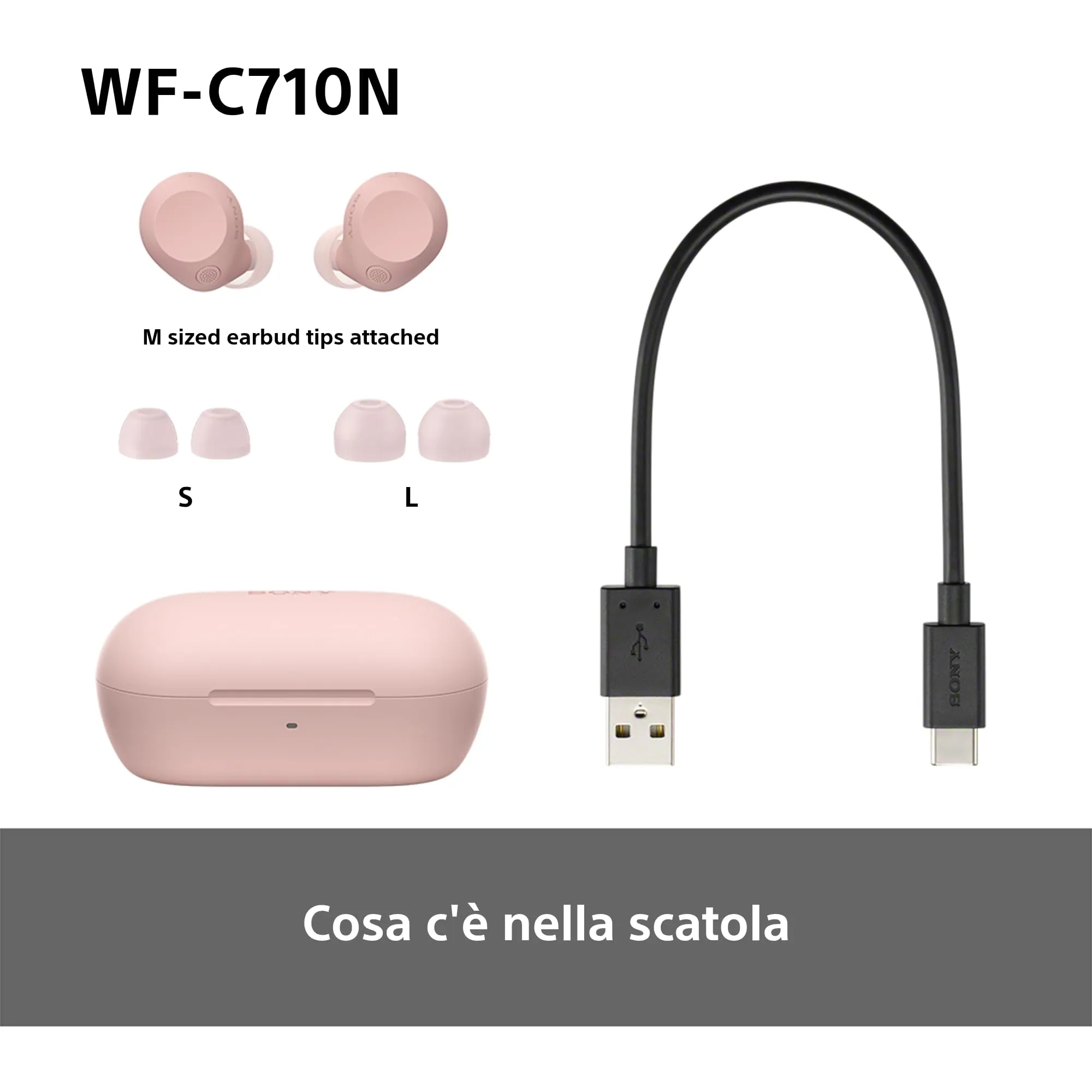 Miniatura 11