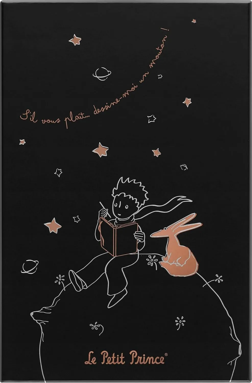 Moleskine Le Petit Prince Taccuino a Righe, Edizione Limitata