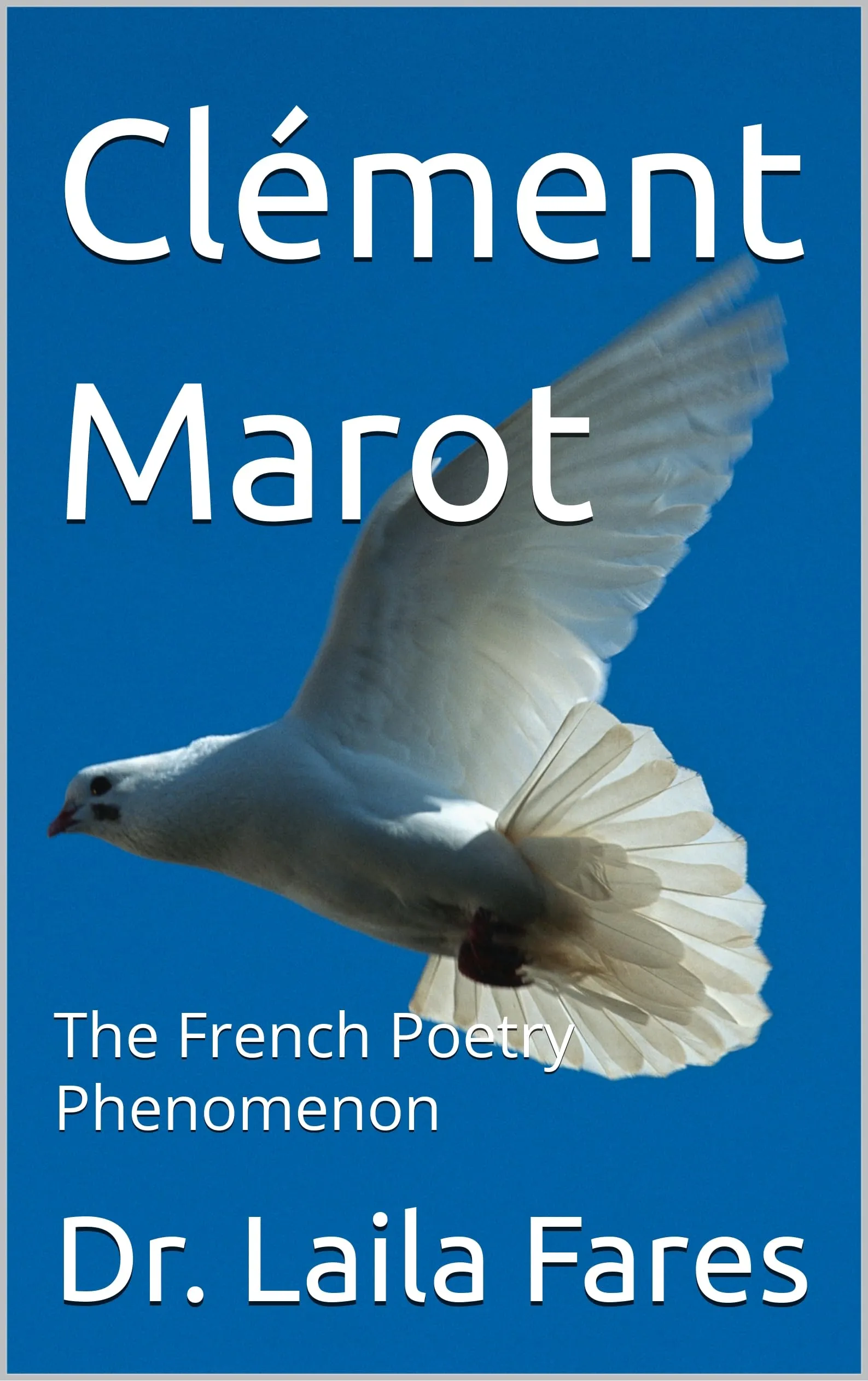 Clément Marot: The French Poetry Phenomenon (English Edition)
