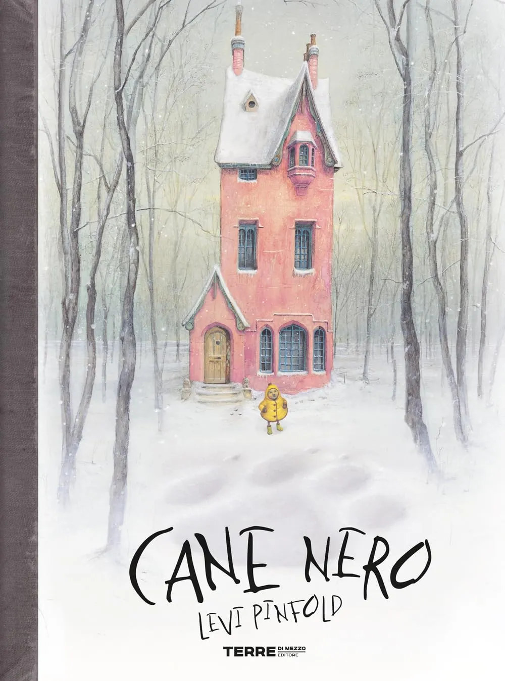 Cane nero. Ediz. illustrata