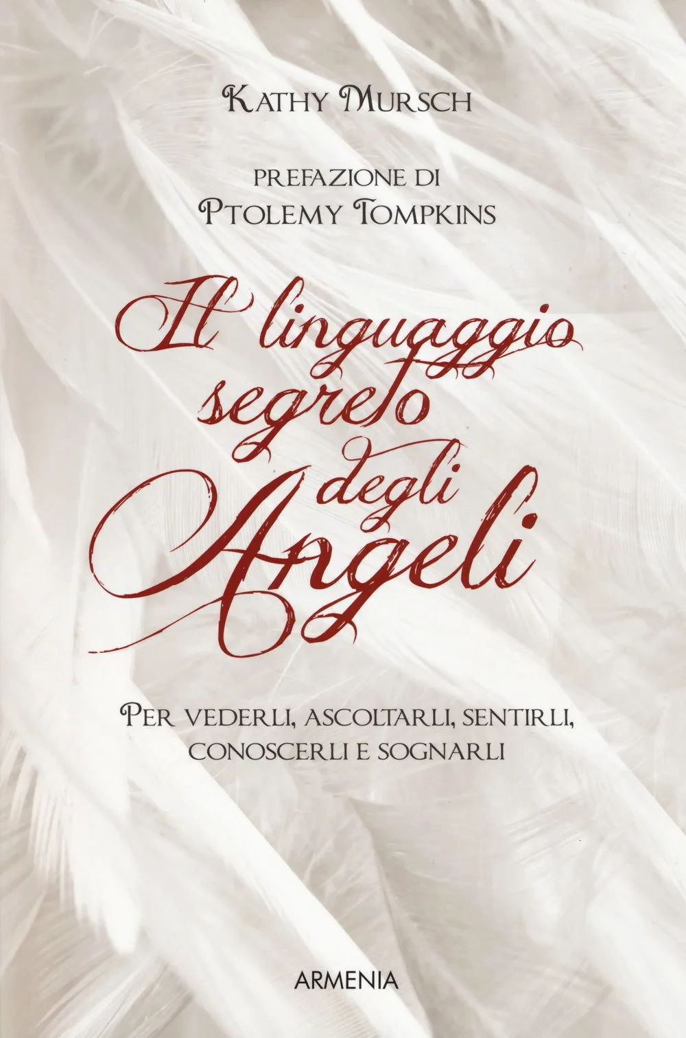 Il linguaggio segreto degli angeli