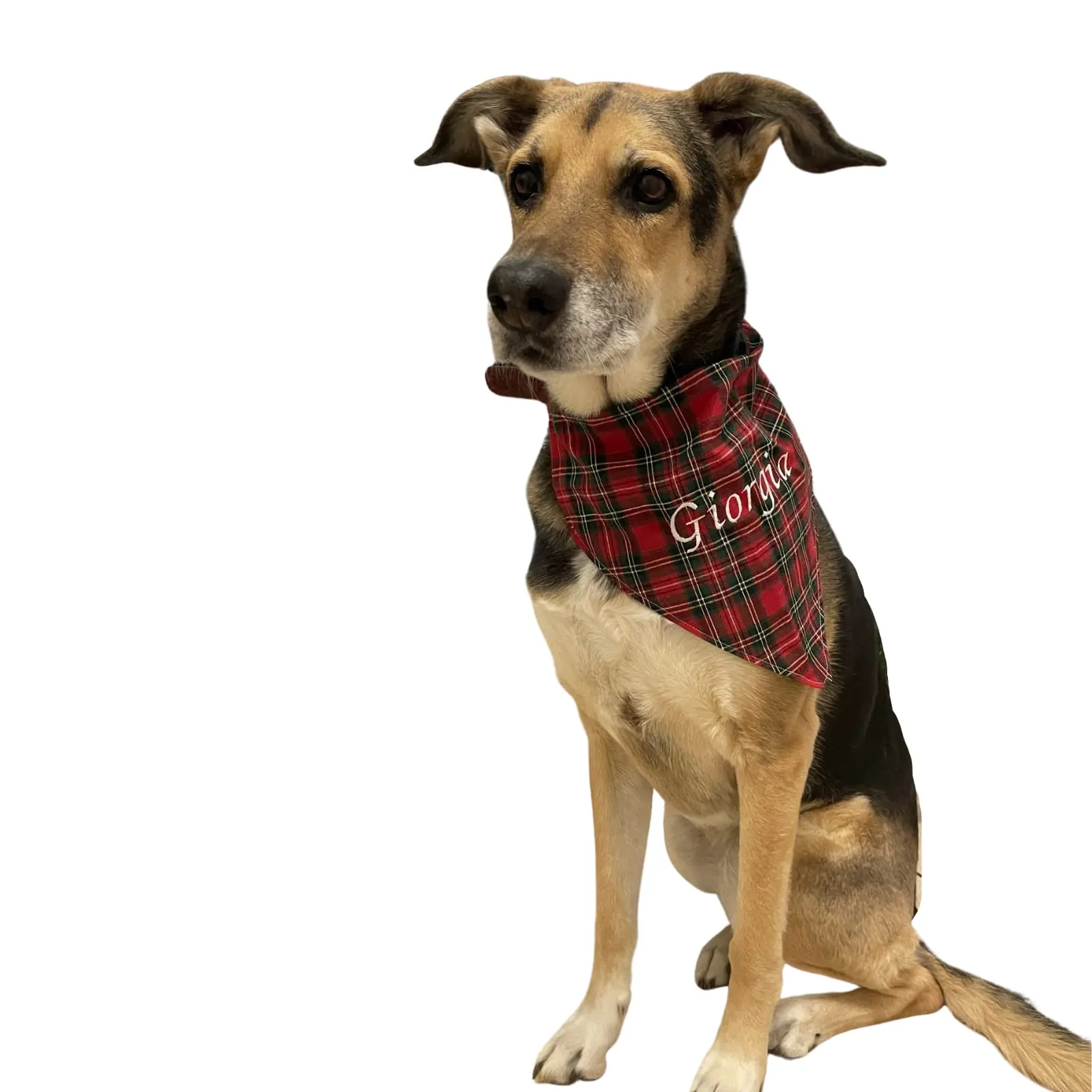Bandana Personalizzata per Cani e Gatti - Accessorio Glamour Artigianale